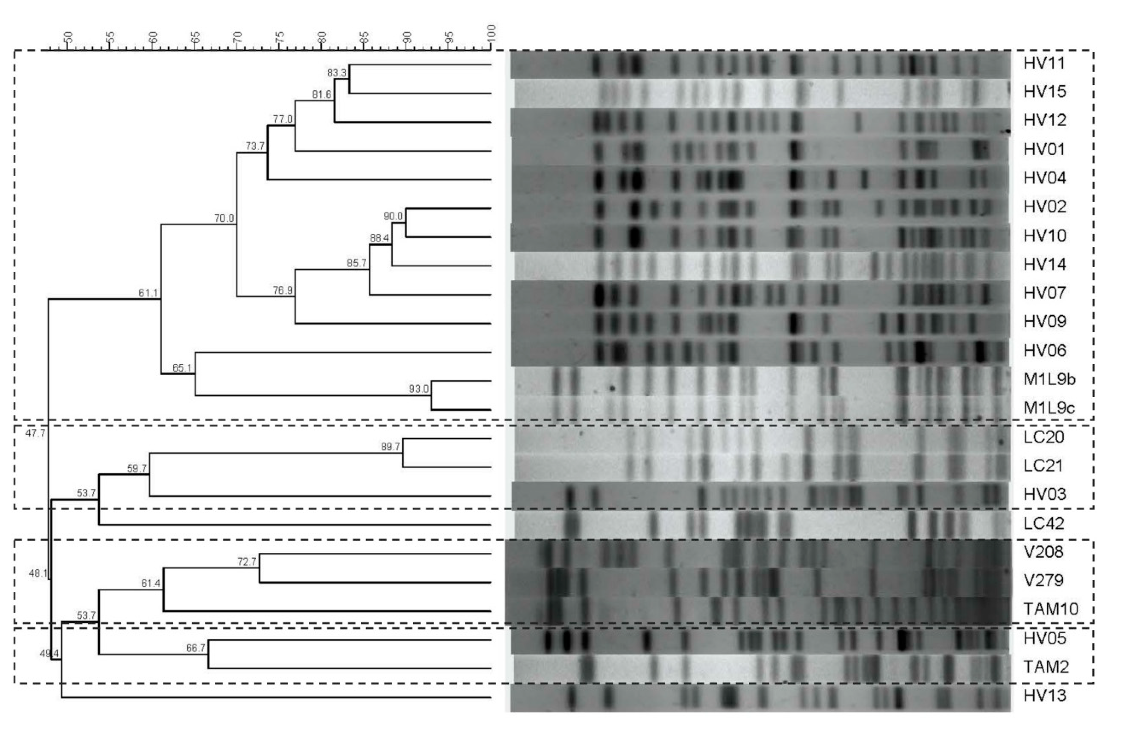 Ijerph 17 01312 g001 Ijerph 17 01312 g001