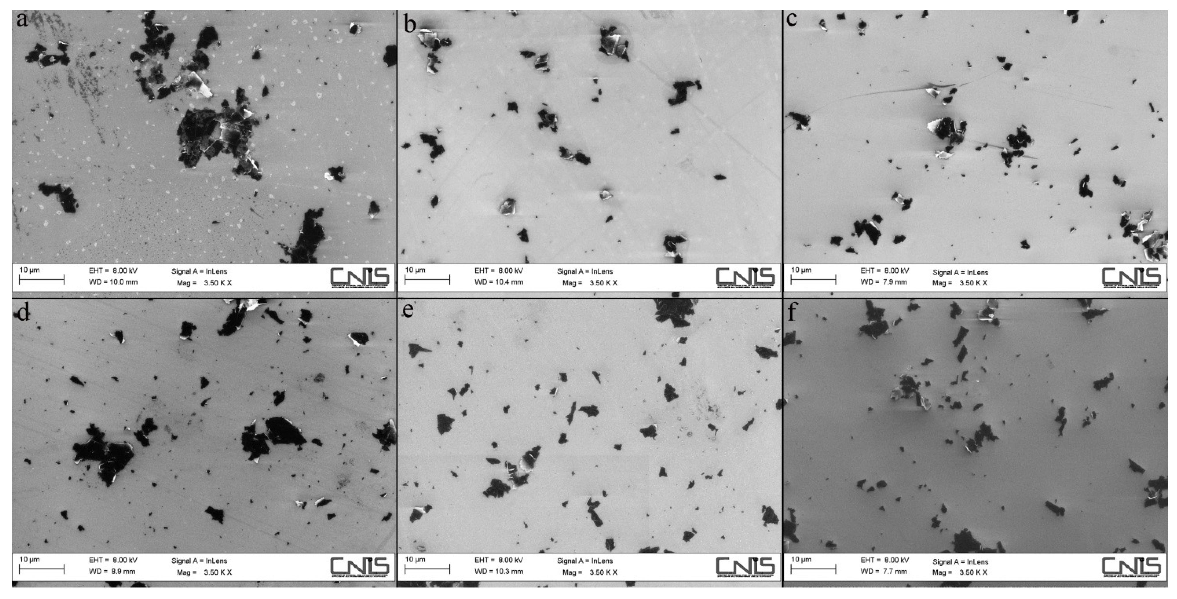 IJERPH | Free Full-Text | Antibacterial Activity against Staphylococcus  Aureus of Titanium Surfaces Coated with Graphene Nanoplatelets to Prevent  Peri-Implant Diseases. An In-Vitro Pilot Study | HTML