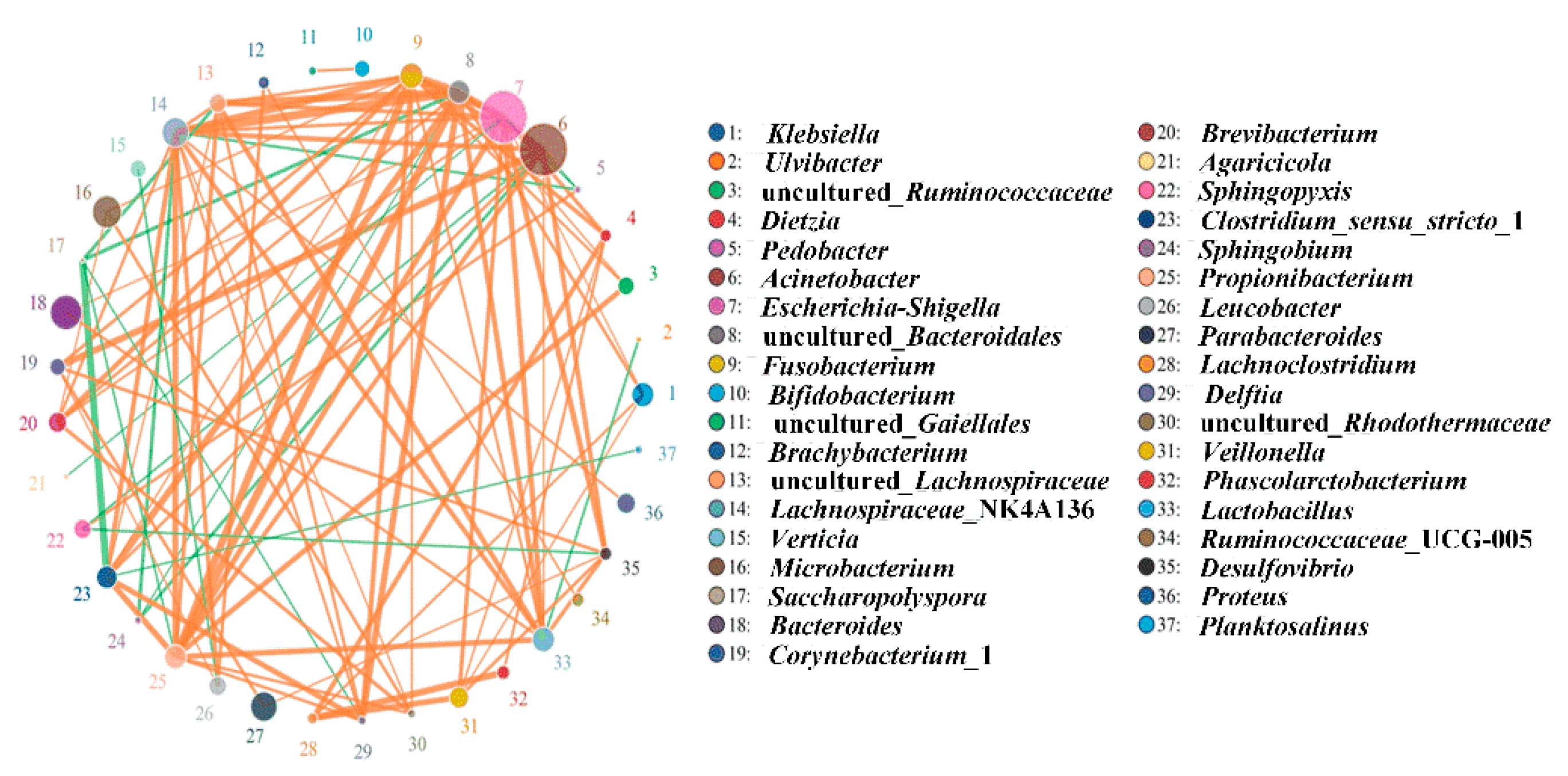 Ijerph 17 01606 g003