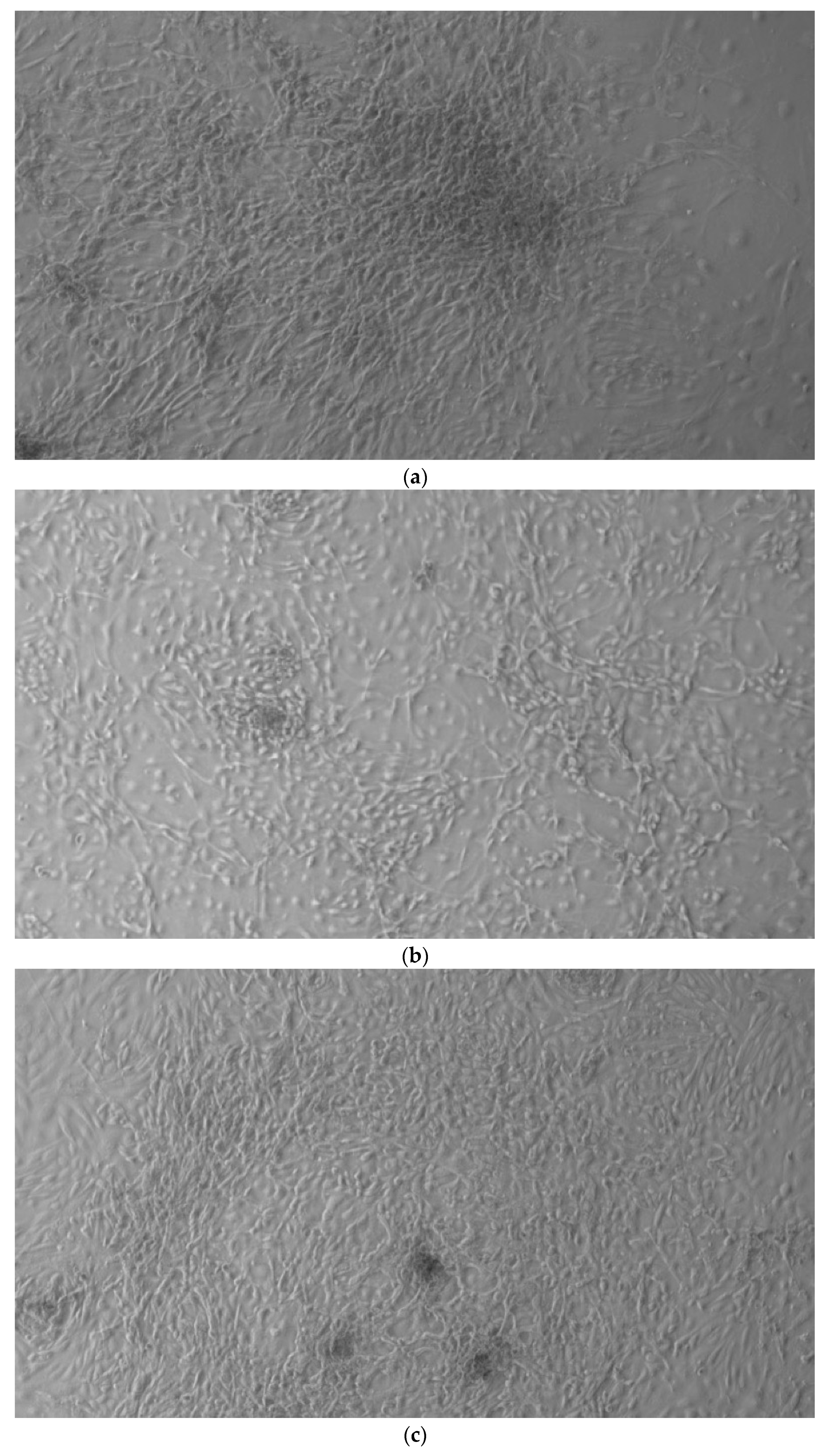 Ijerph 17 01947 g001a