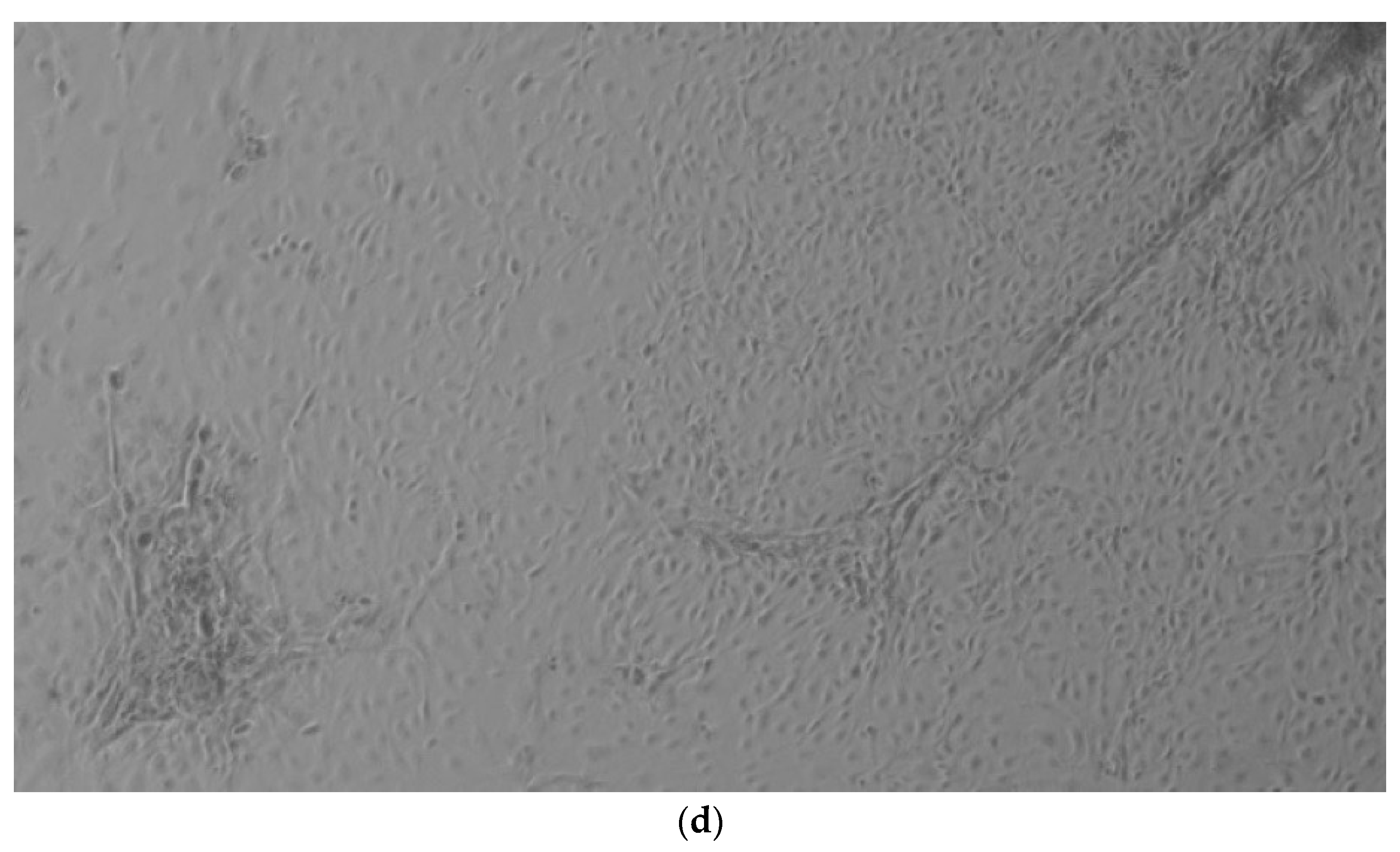 Ijerph 17 01947 g001b