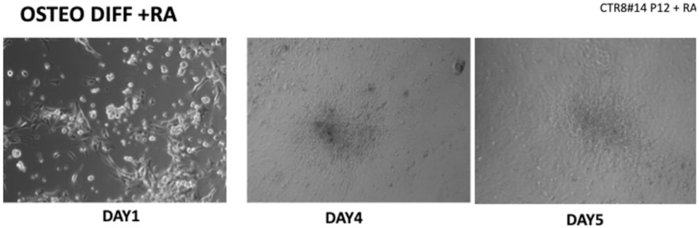 Ijerph 17 01947 g002