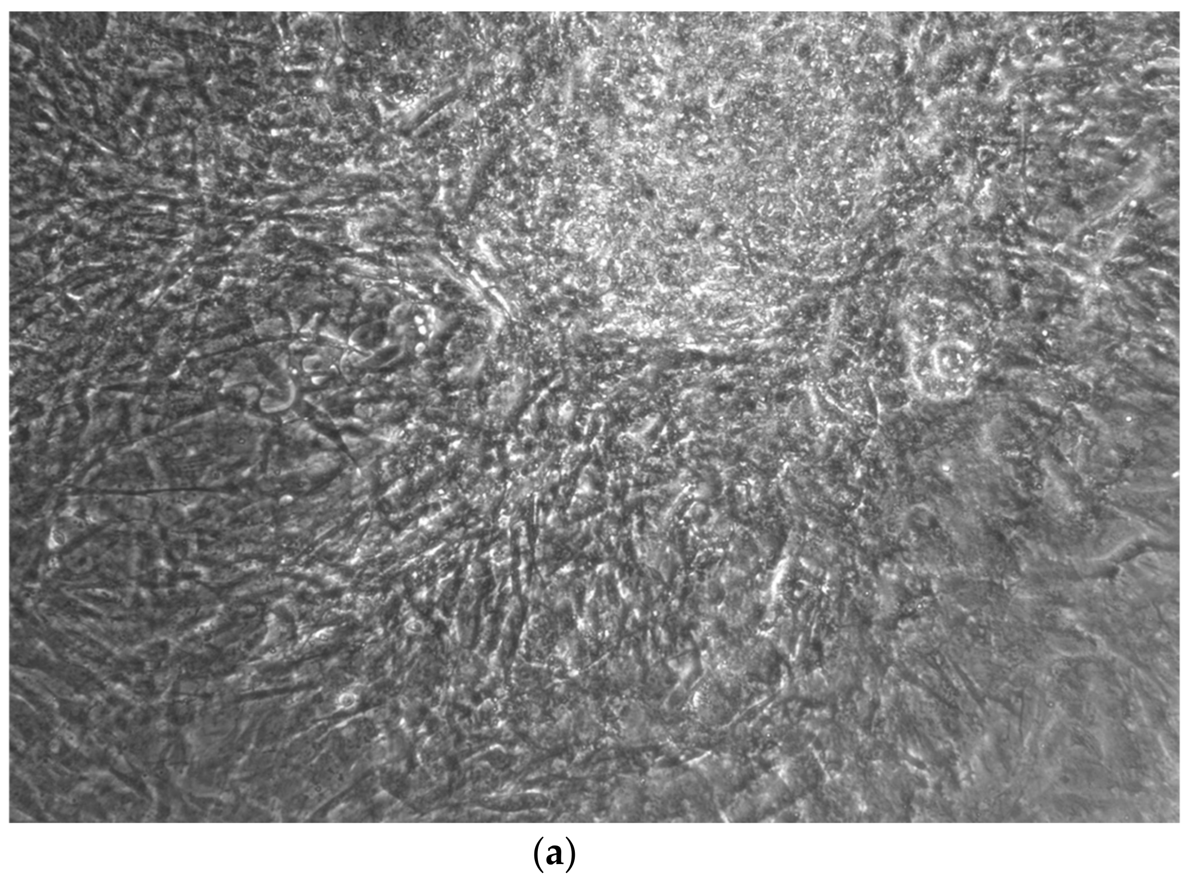 Ijerph 17 01947 g004a