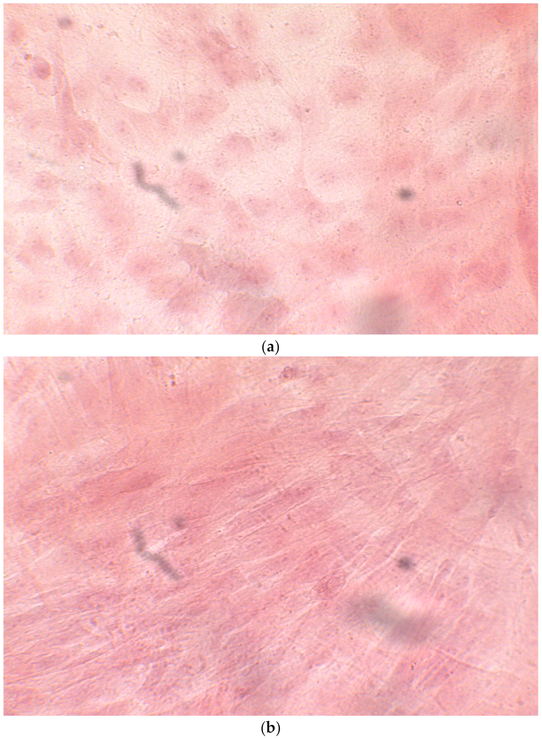 Ijerph 17 01947 g007