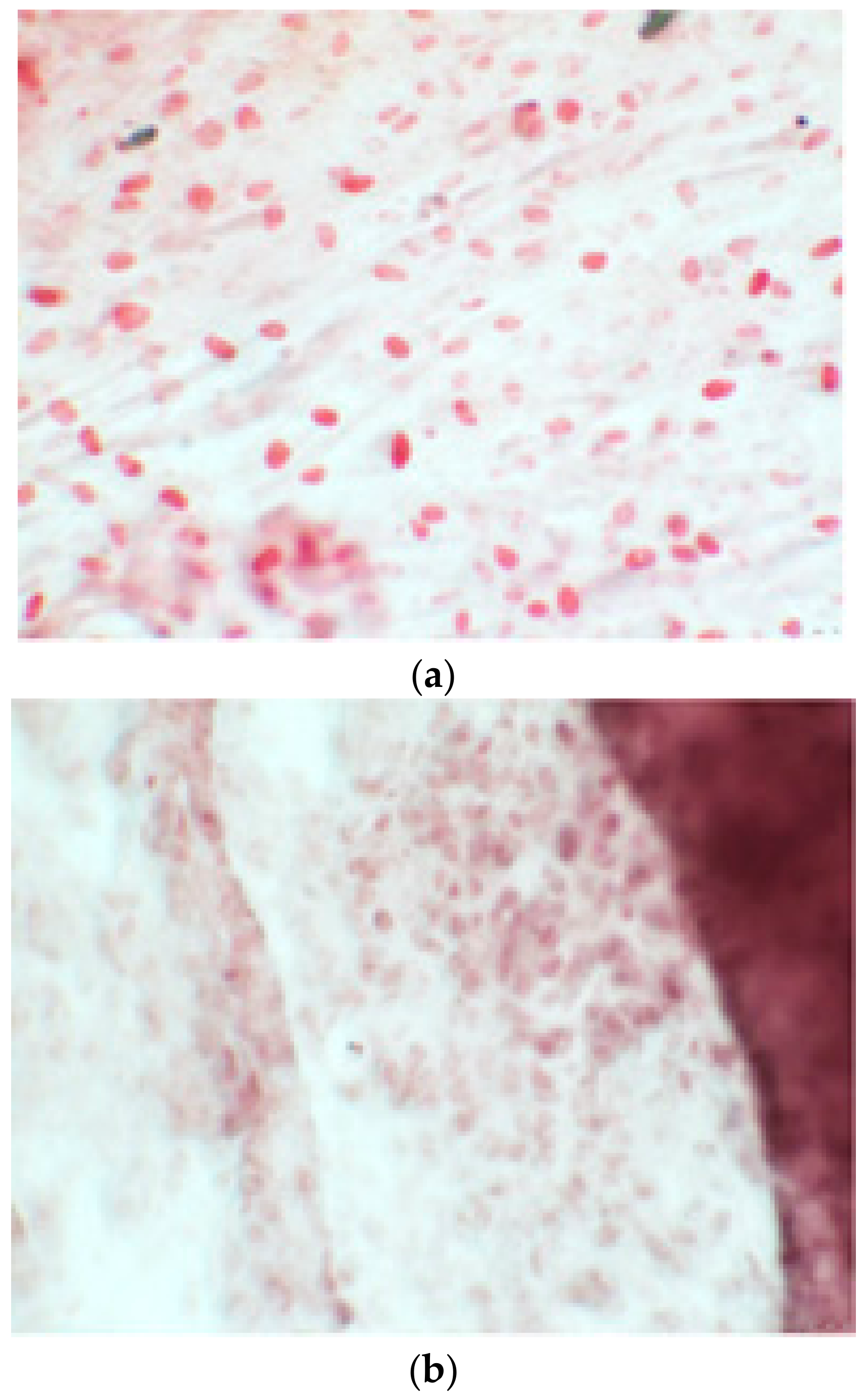 Ijerph 17 01947 g009a