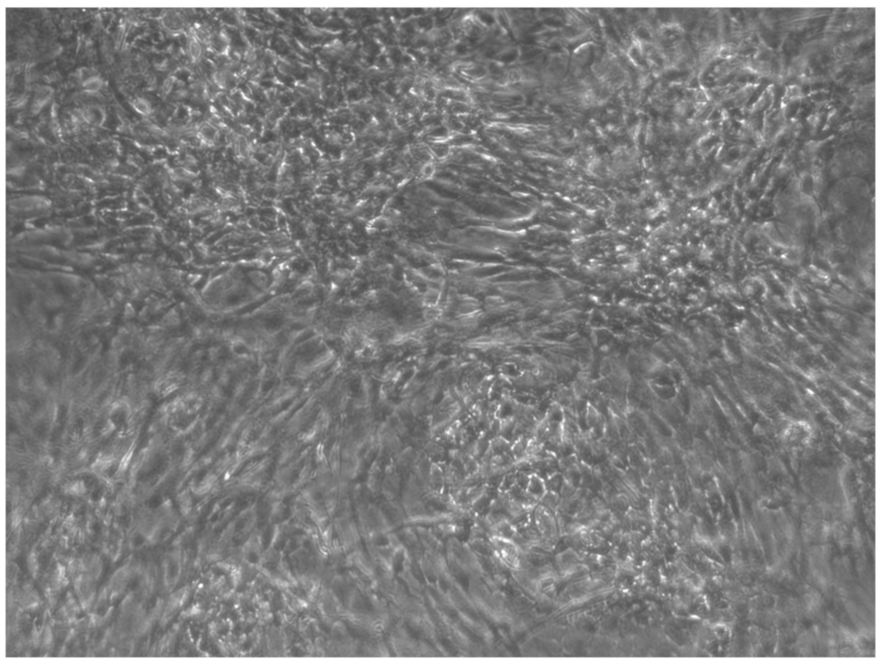 Ijerph 17 01947 g010