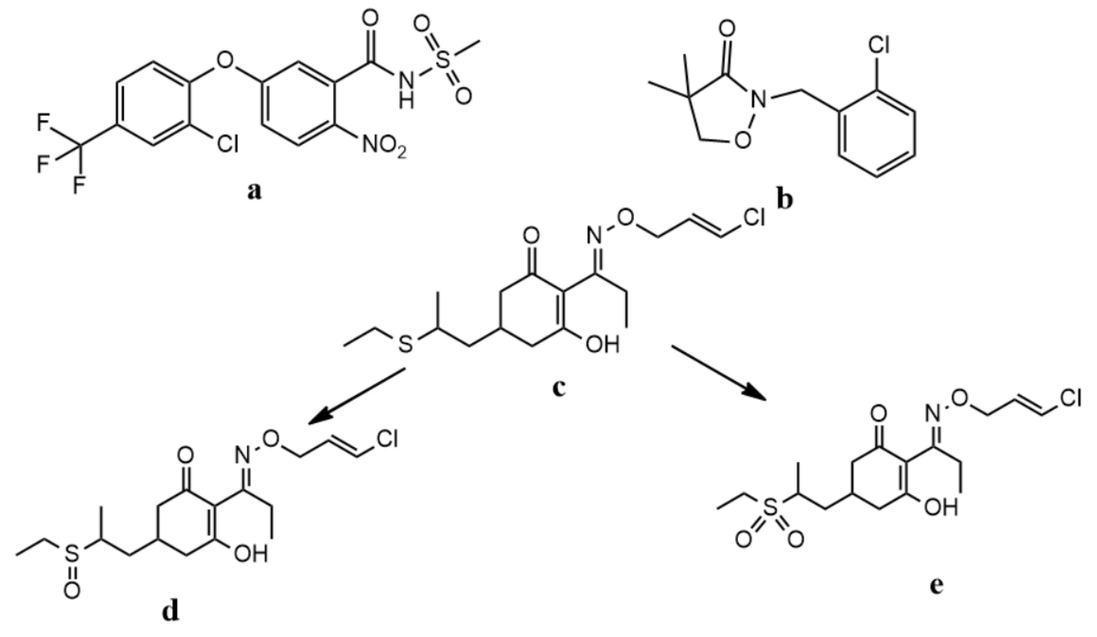 Ijerph 17 01951 g001