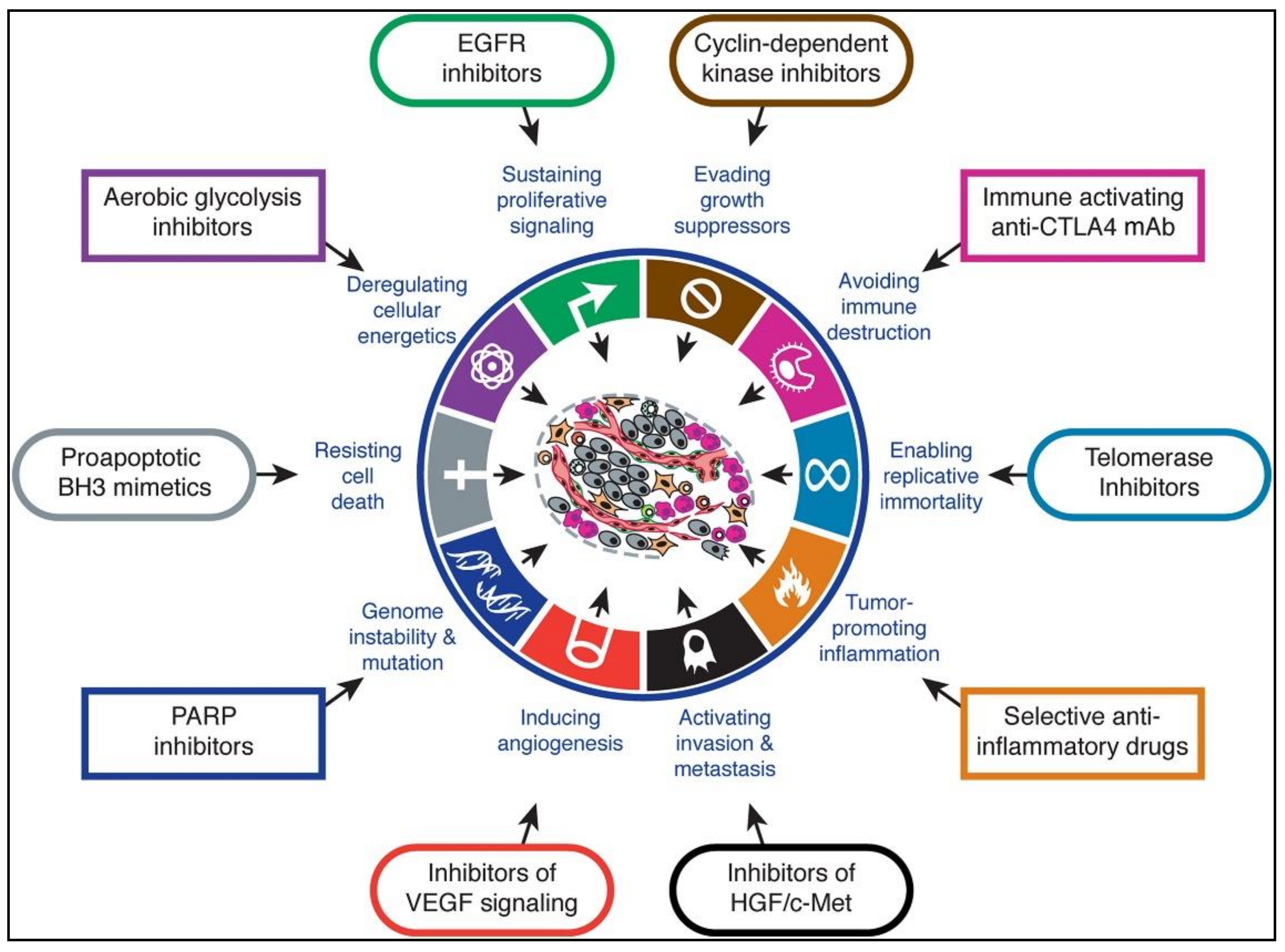 IJERPH | Free Full-Text | Triple-Negative Breast Cancer: A Review Of ...