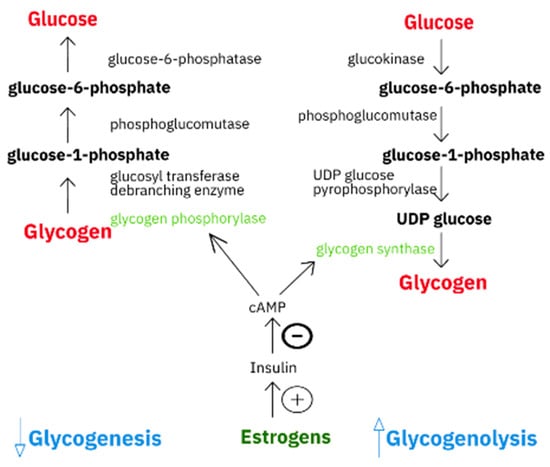 Sex Tem Tewil Full Dh Sex Xxc Cx Cc - IJERPH | Free Full-Text | Sex Hormone-Dependent Physiology and Diseases of  Liver