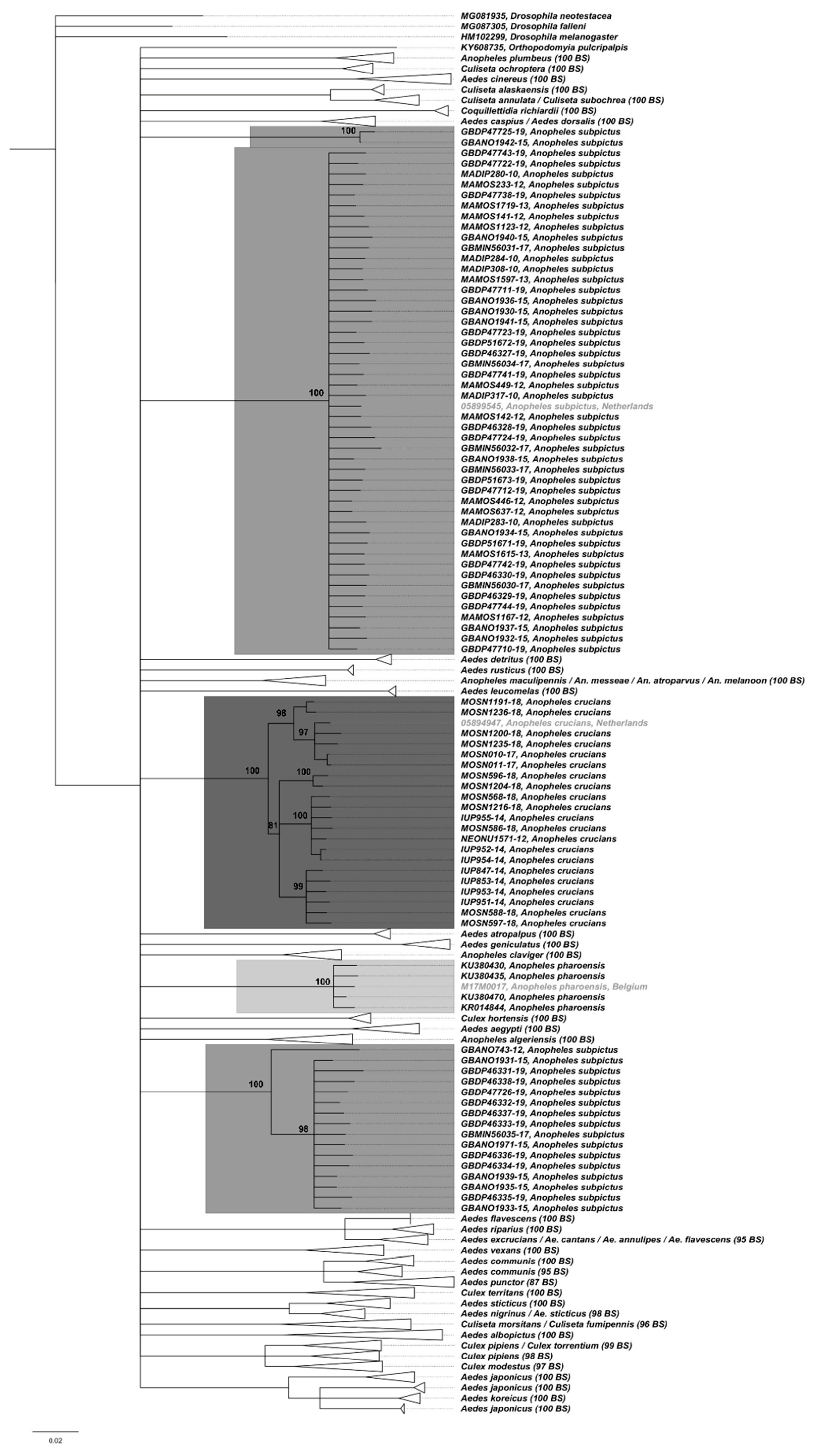 Ijerph 17 03450 g001