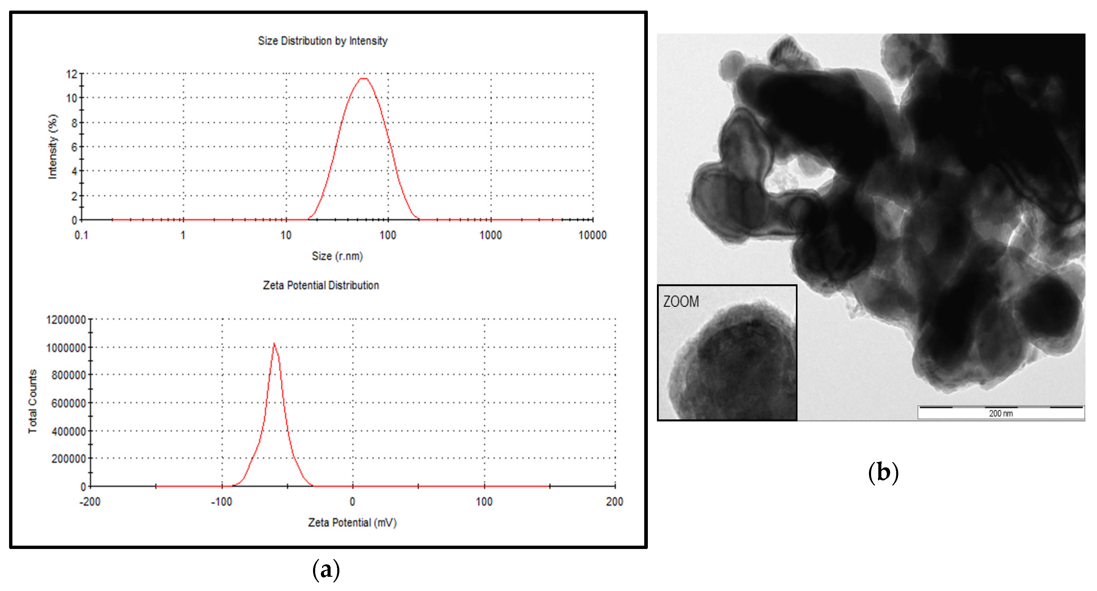 Ijerph 17 03622 g001