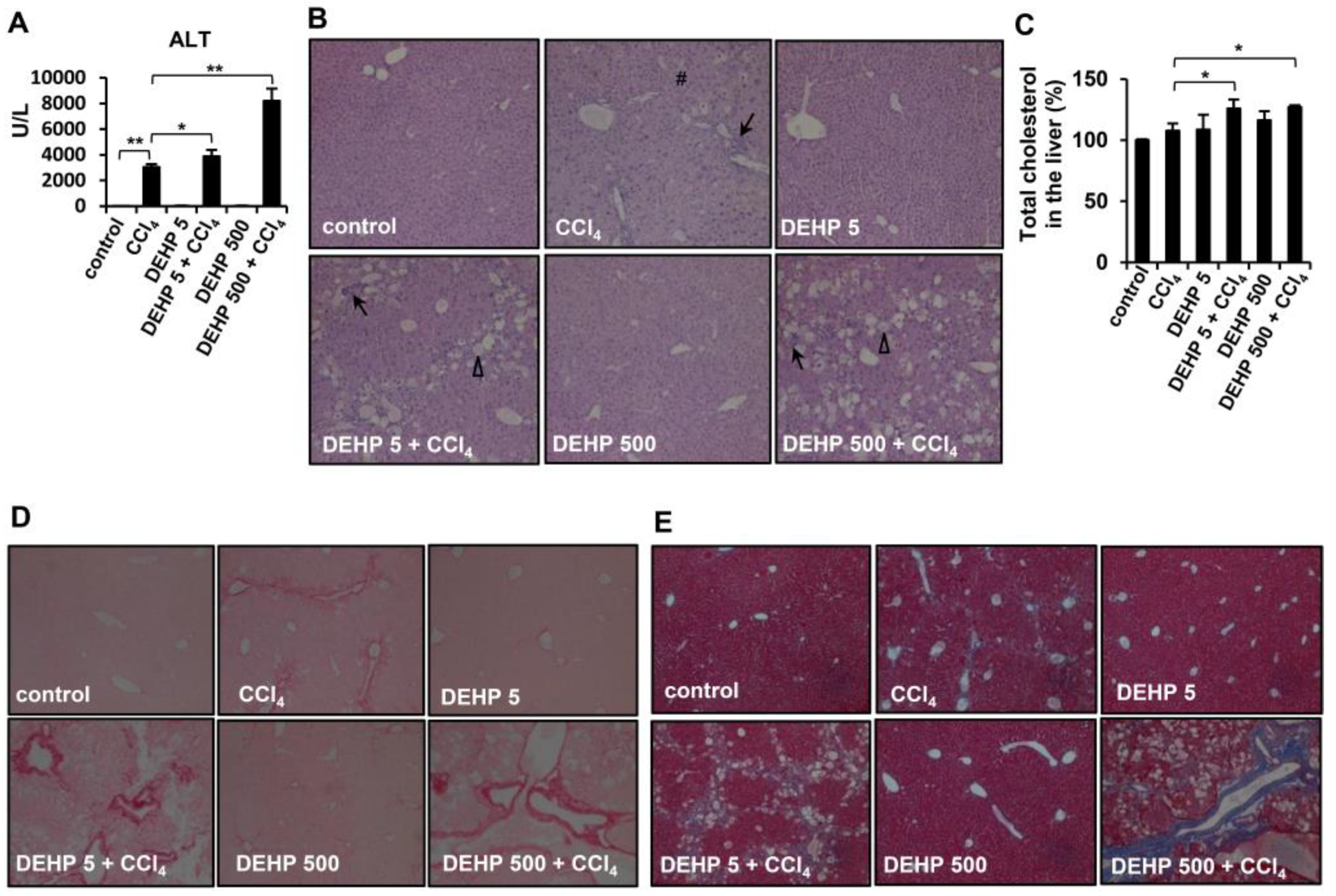 Ijerph 17 03802 g007 Ijerph 17 03802 g007