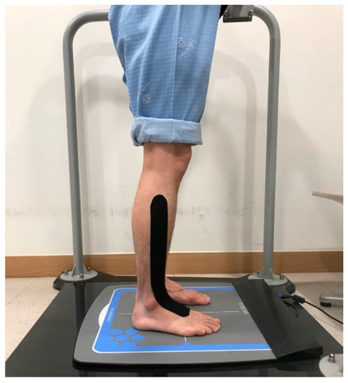 IJERPH Free Full Text Immediate Effects of Tibialis Anterior  