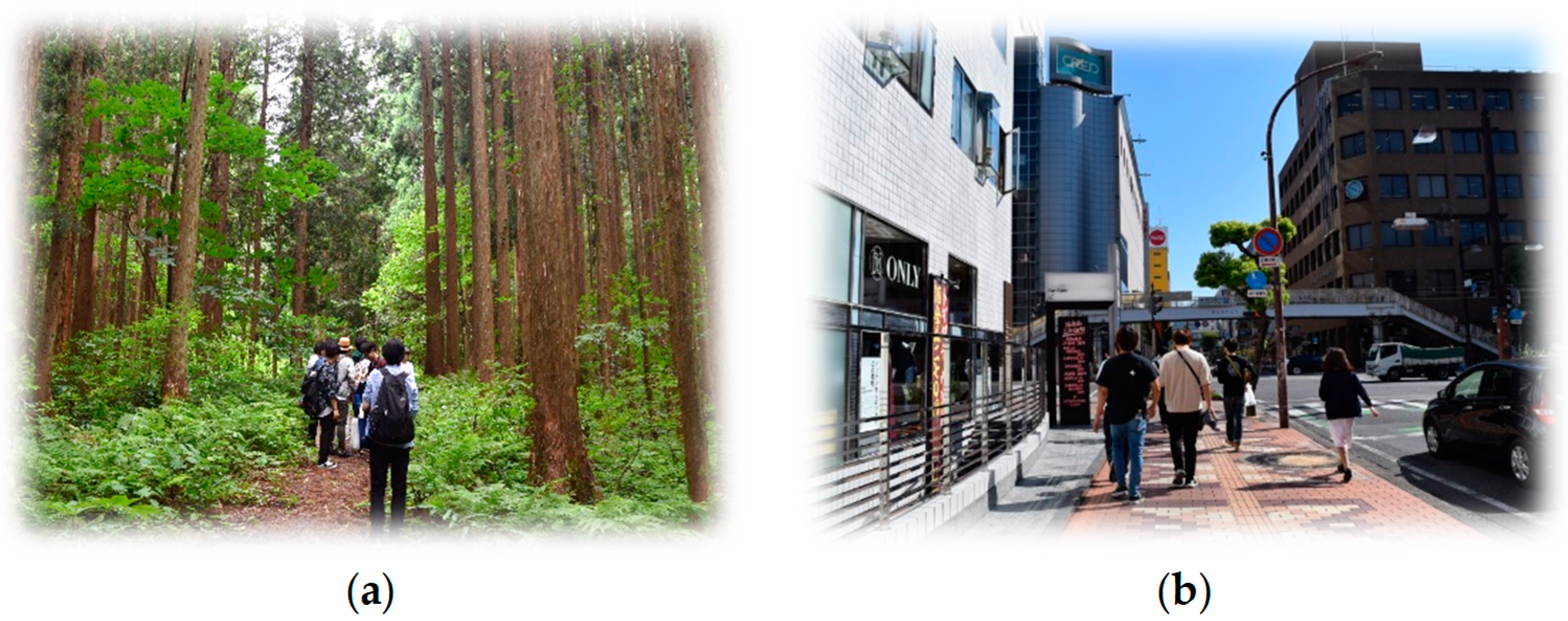 Ijerph 17 04990 g001 Ijerph 17 04990 g001