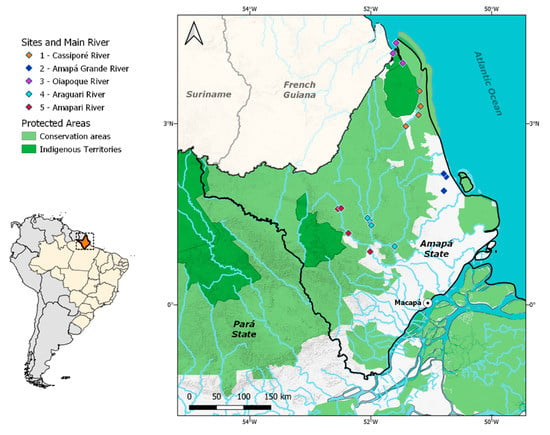 IJERPH | Free Full-Text | Mercury Exposure through Fish Consumption in  Traditional Communities in the Brazilian Northern Amazon | HTML