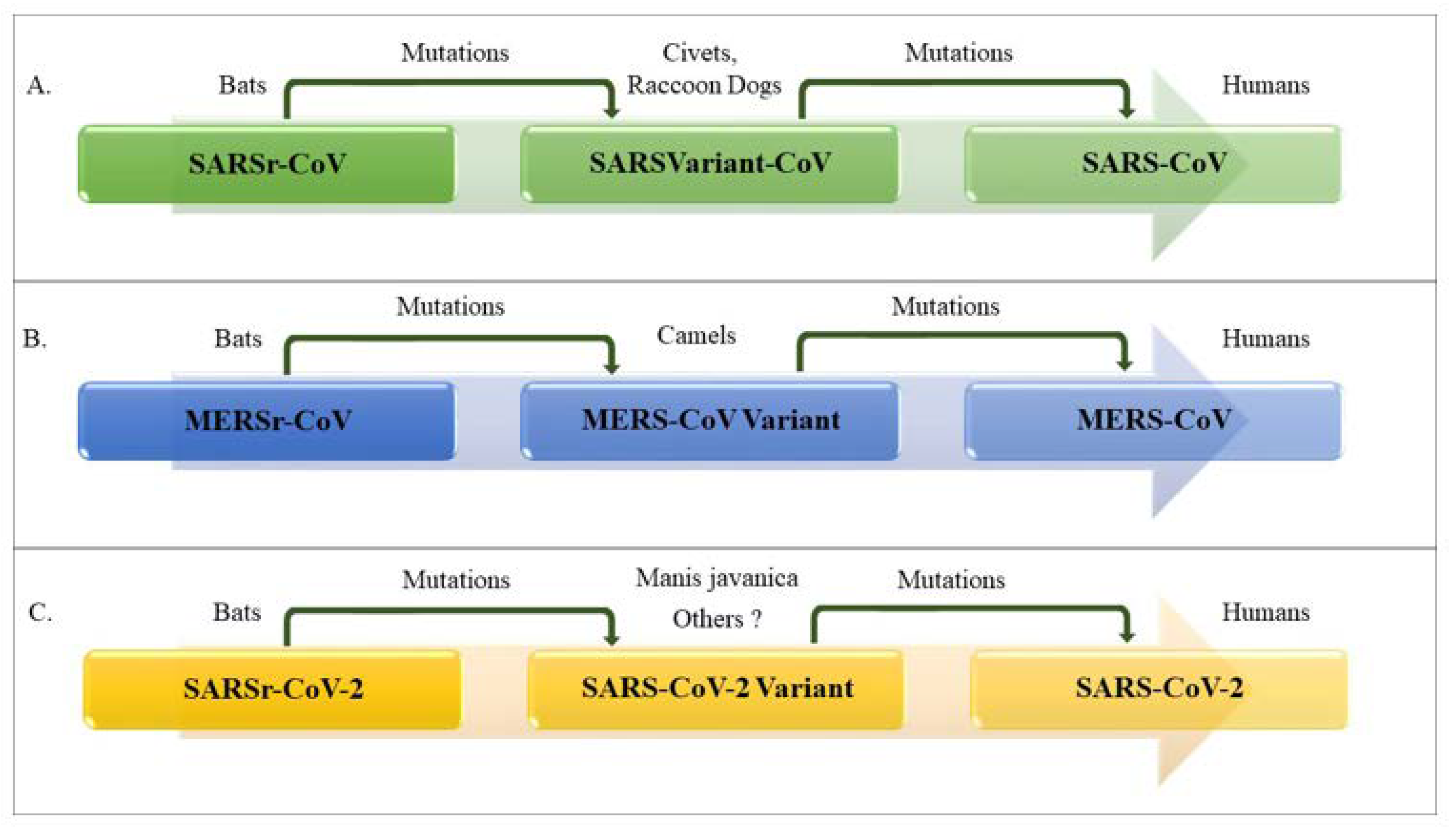 Ijerph 17 05648 g002 Ijerph 17 05648 g002