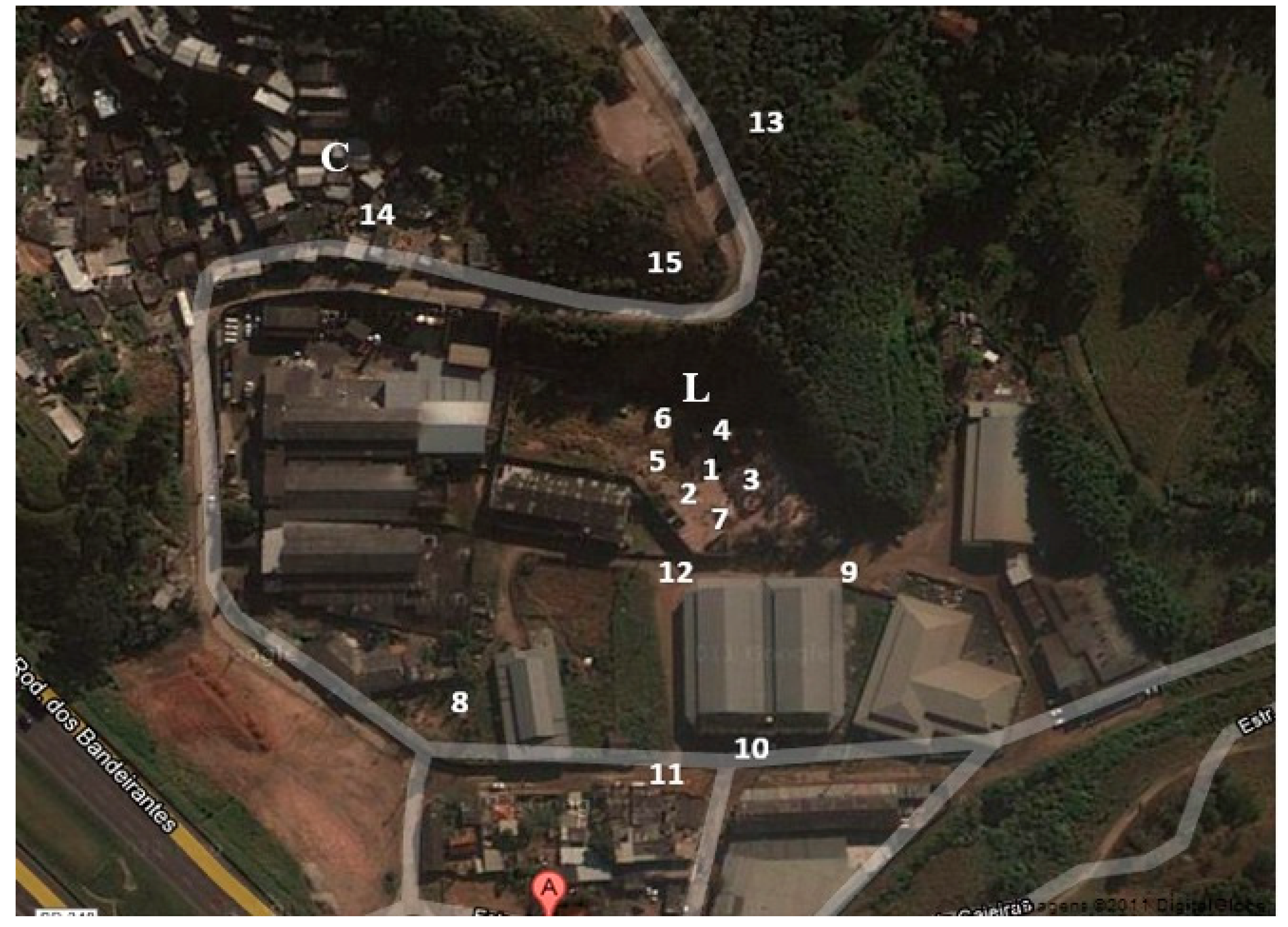 Ijerph 17 05666 g001