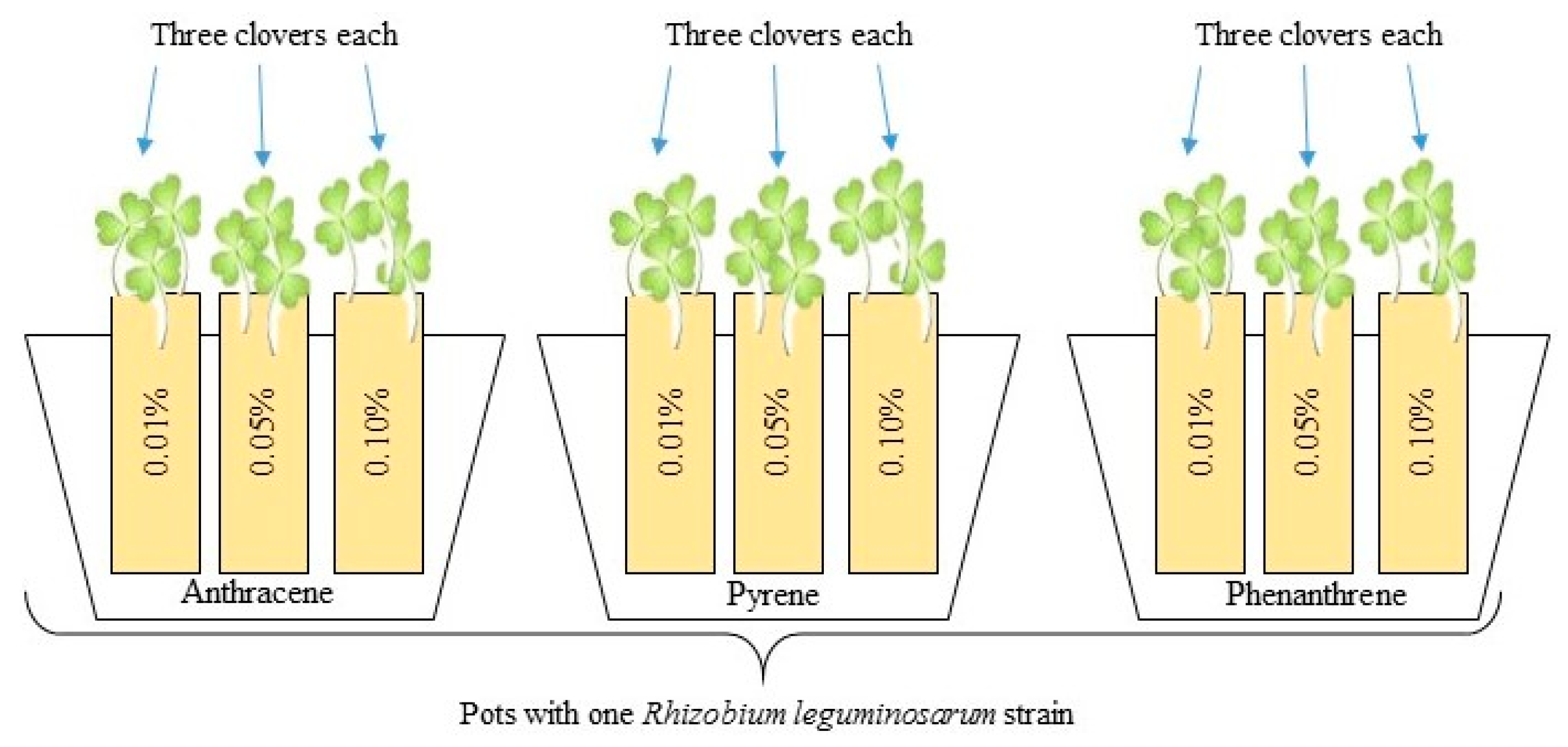 Ijerph 17 05751 g002