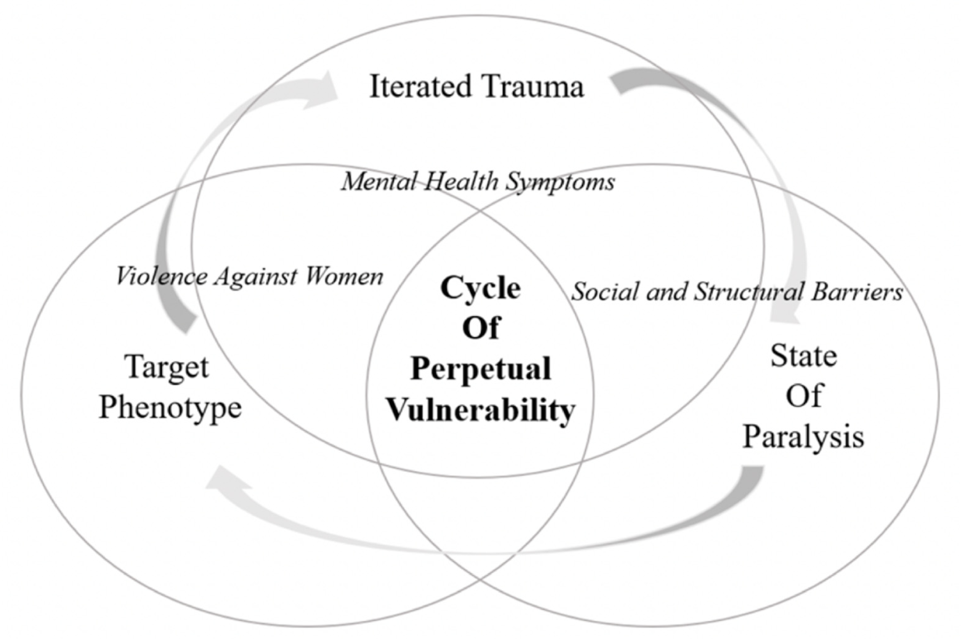 IJERPH | Free Full-Text | Cycle of Perpetual Vulnerability for Women Facing  Homelessness near an Urban Library in a Major U.S. Metropolitan Area