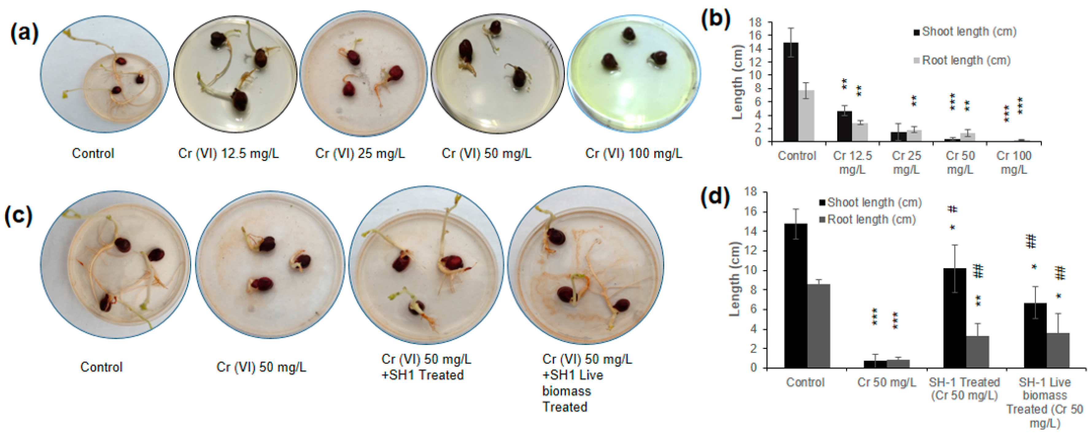 Ijerph 17 06013 g005