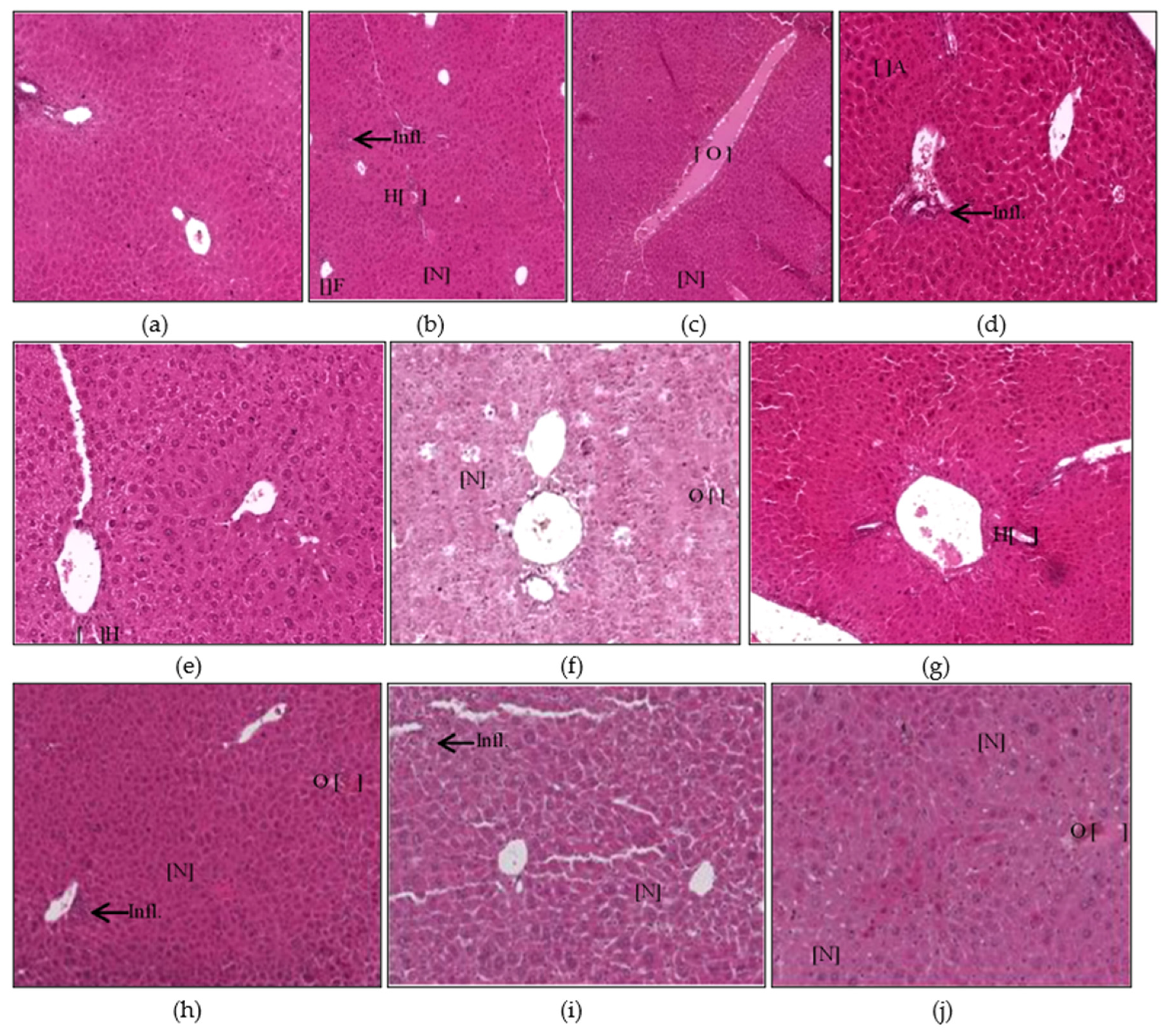 Ijerph 17 06177 g002 Ijerph 17 06177 g002