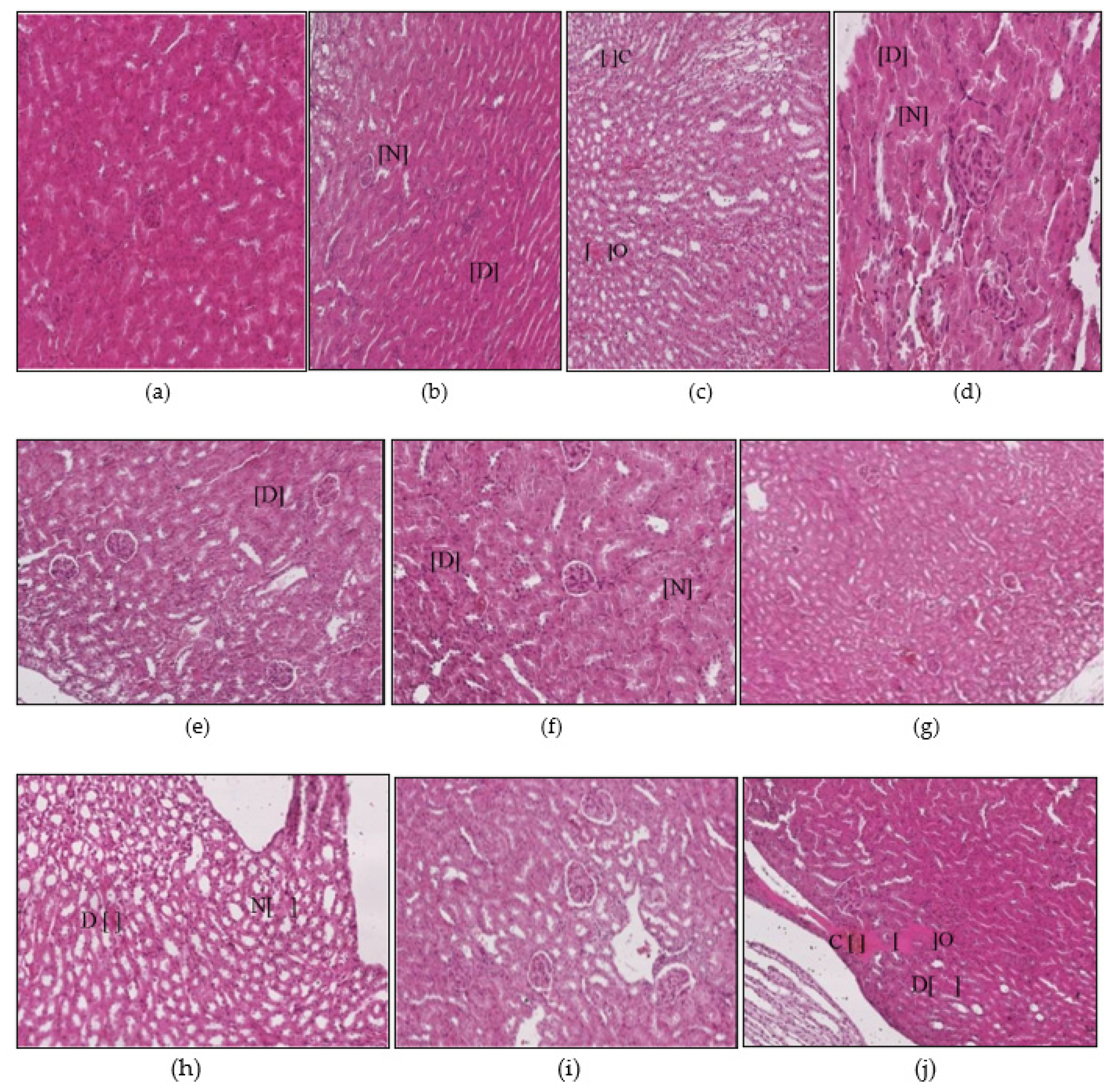 Ijerph 17 06177 g006 Ijerph 17 06177 g006