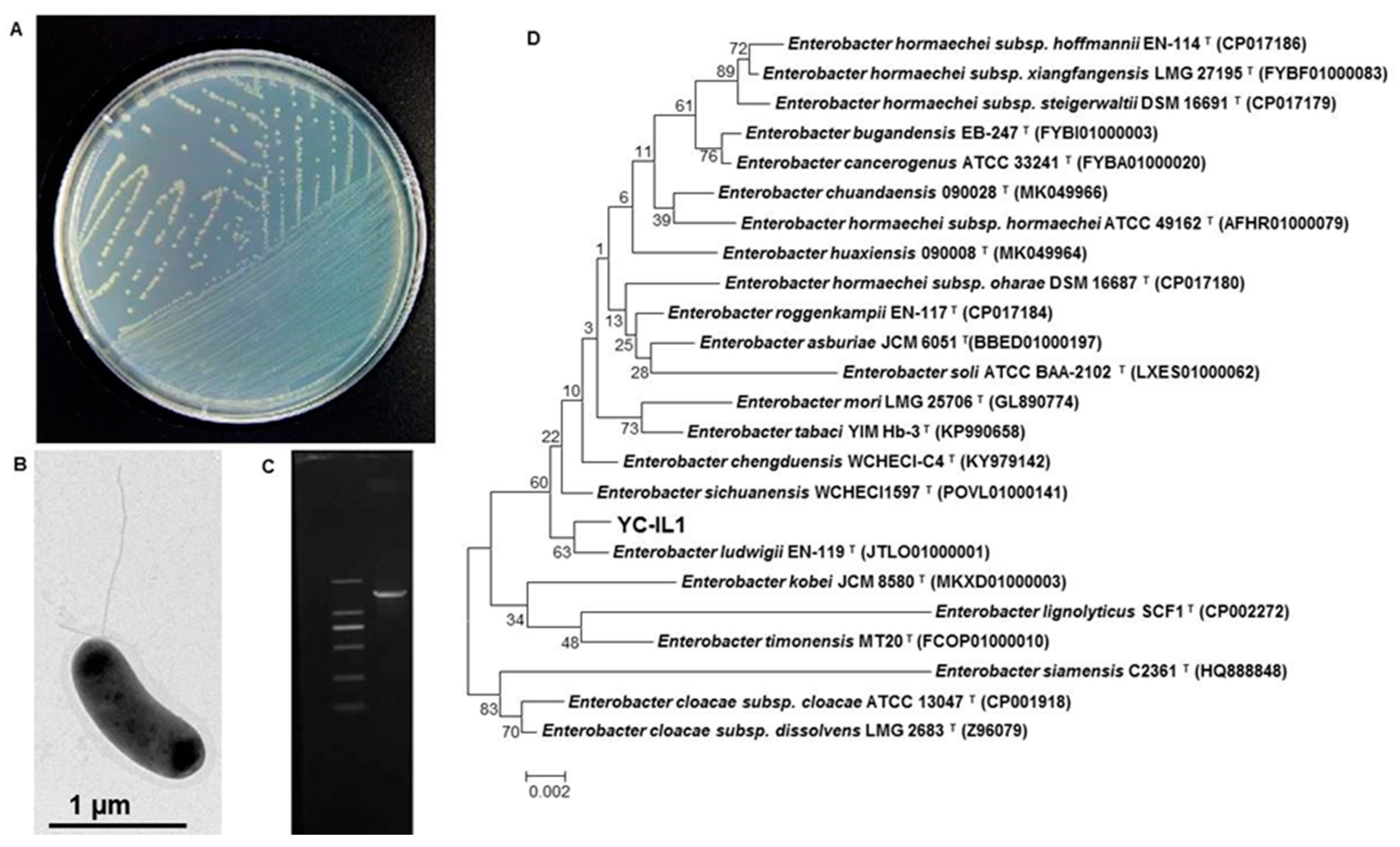 Ijerph 17 07501 g001 Ijerph 17 07501 g001
