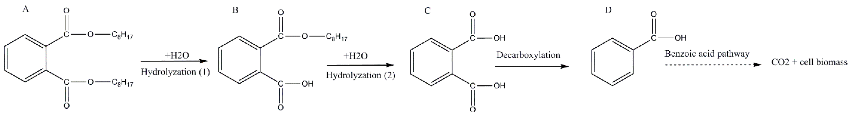 Ijerph 17 07501 g006 Ijerph 17 07501 g006