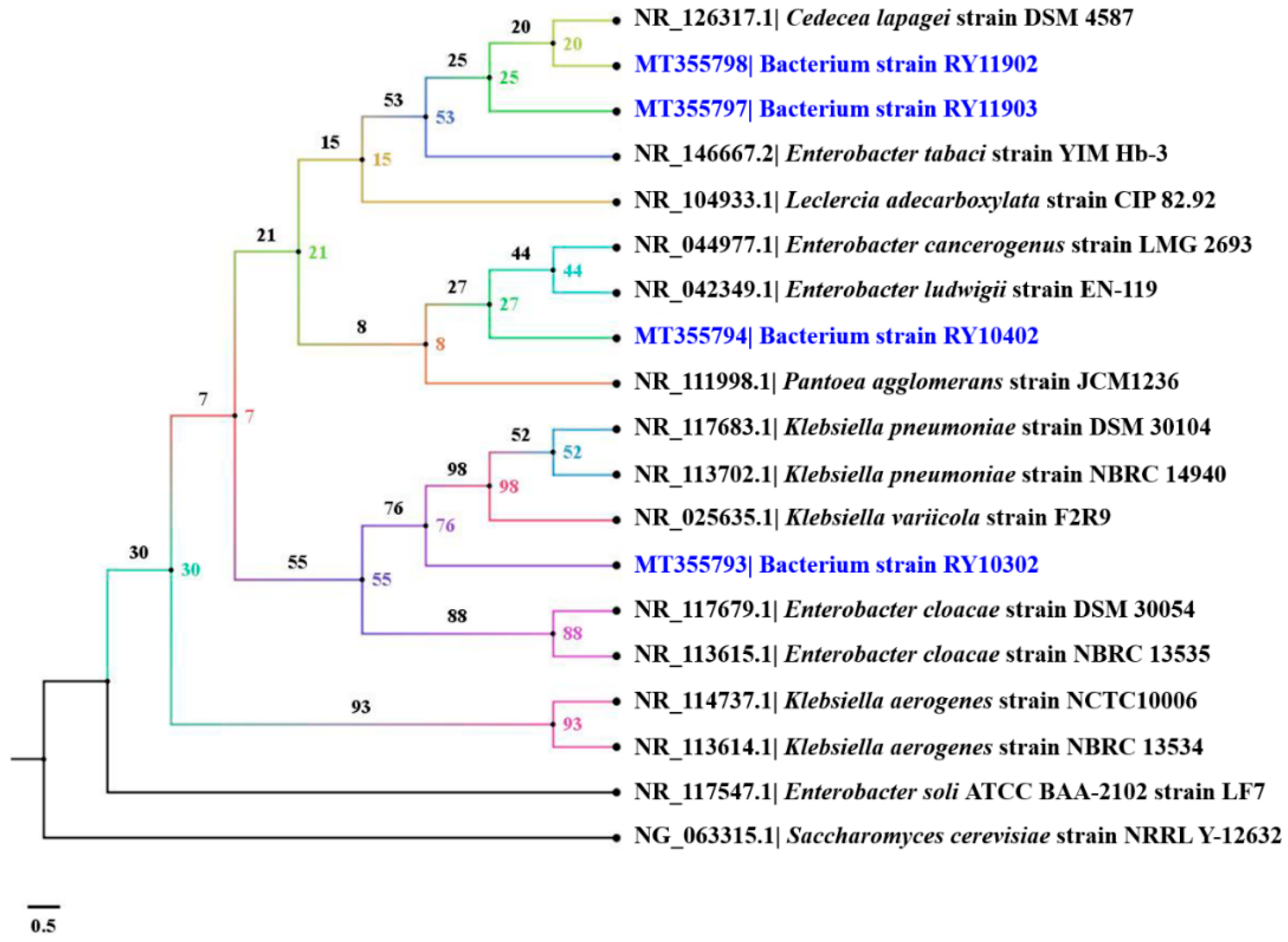 Ijerph 17 07531 g005