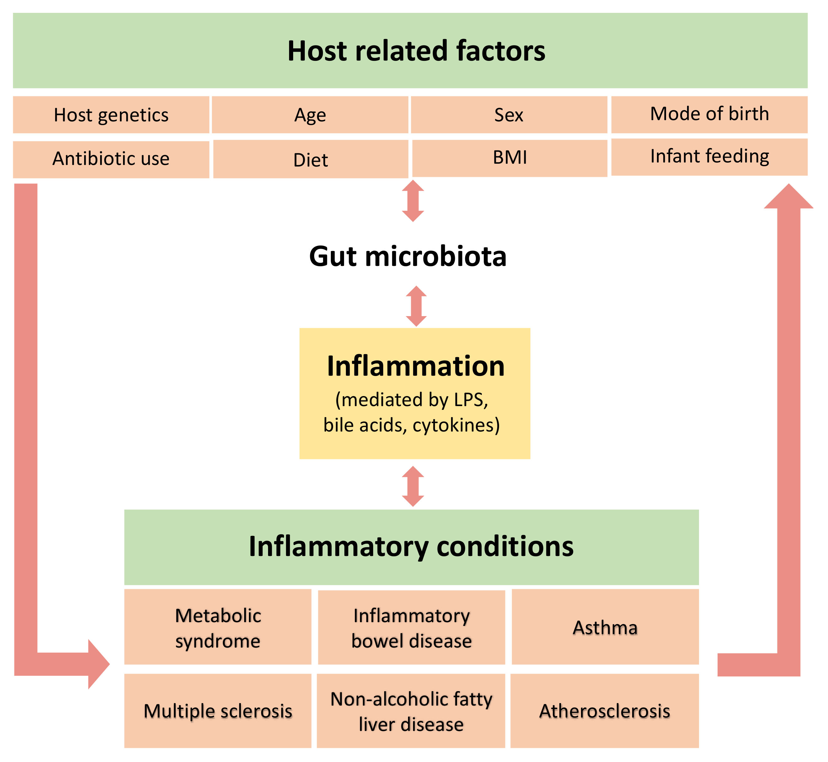 Ijerph Free Full Text The Gut Microbiota And Inflammation An Overview Html