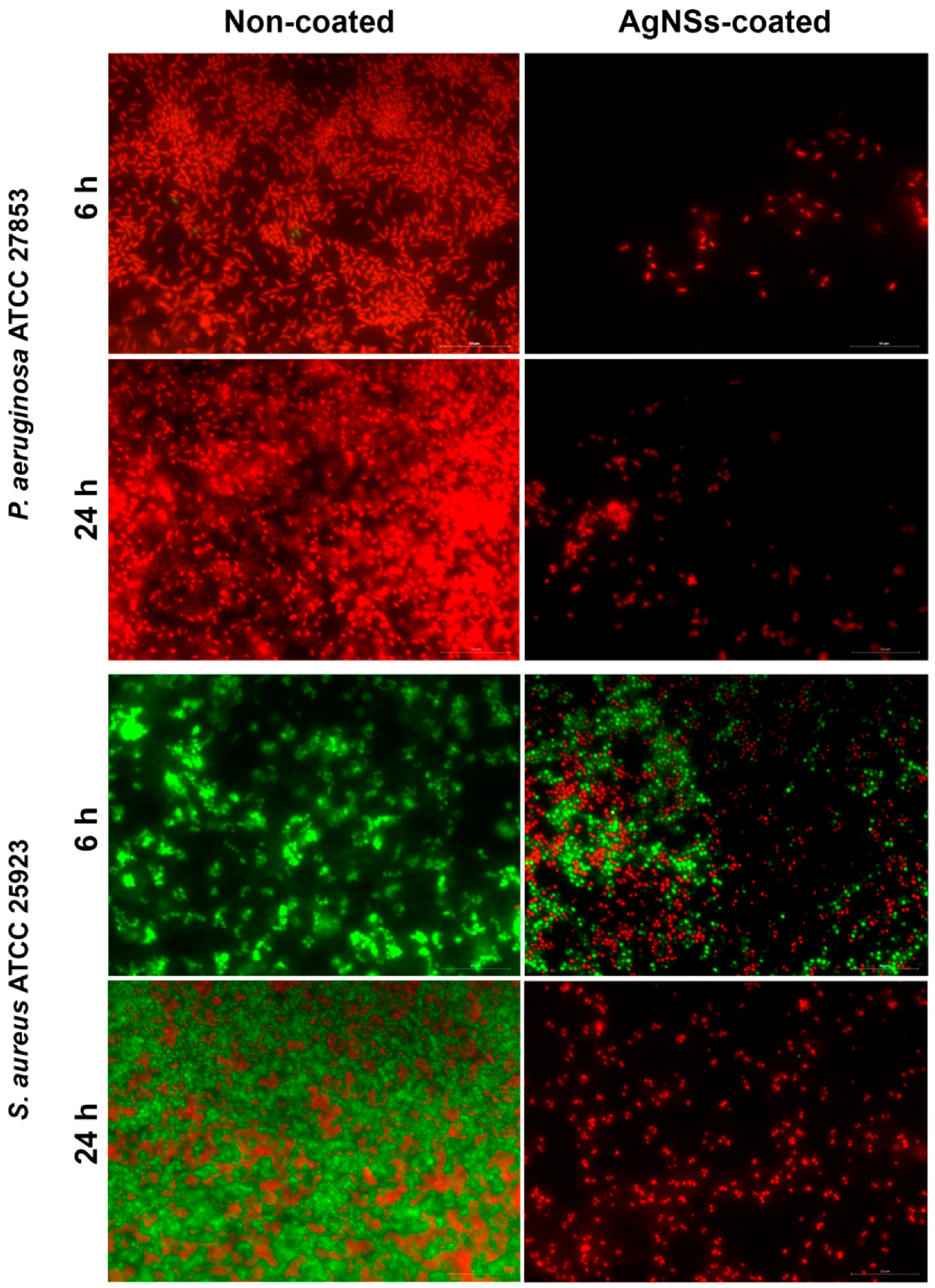 Ijerph 17 07891 g003 Ijerph 17 07891 g003