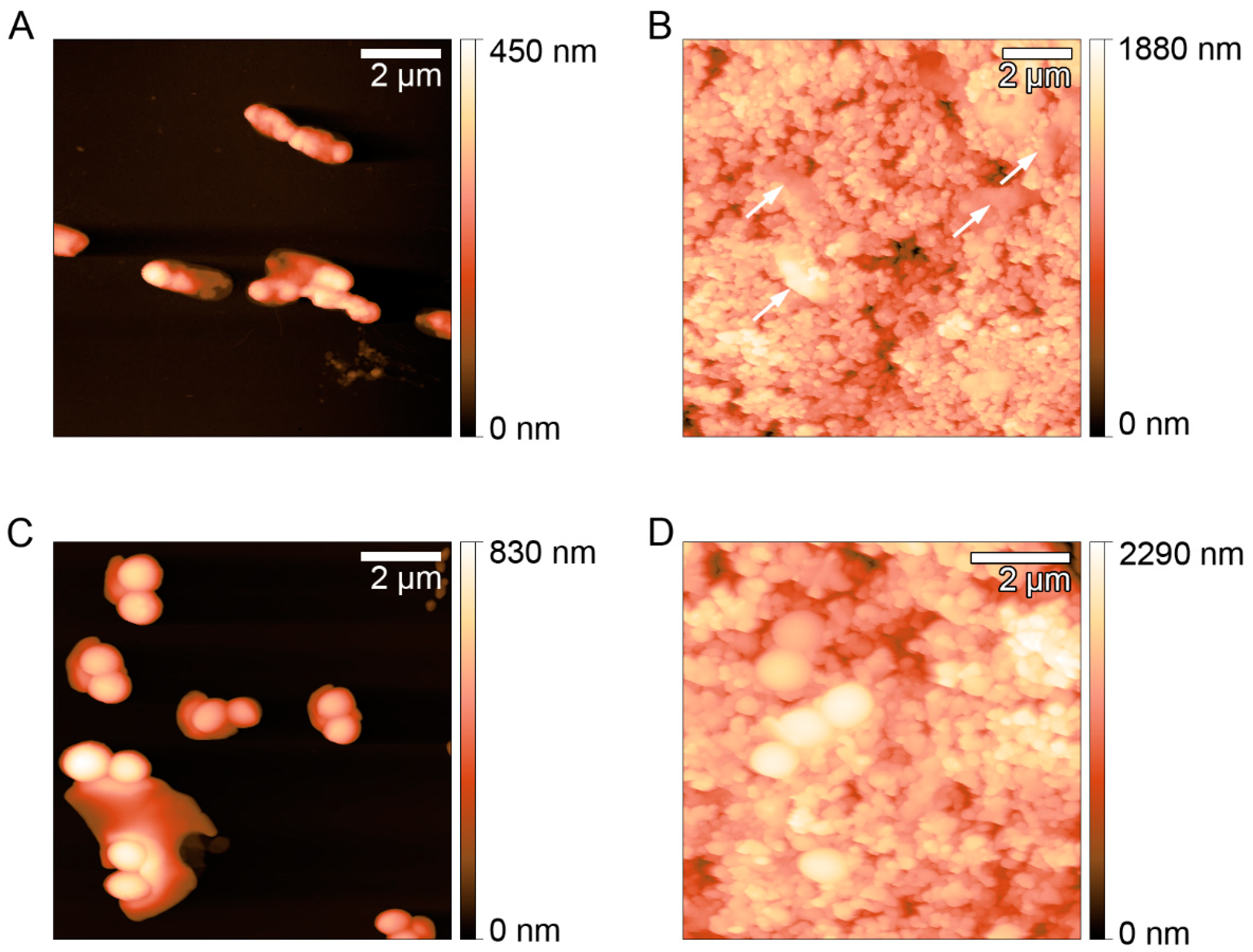 Ijerph 17 07891 g004 Ijerph 17 07891 g004