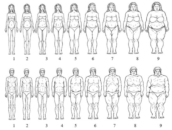 IJERPH | Free Full-Text | Prevalence of Eating Disorder Risk and Body Image  Dissatisfaction among ROTC Cadets