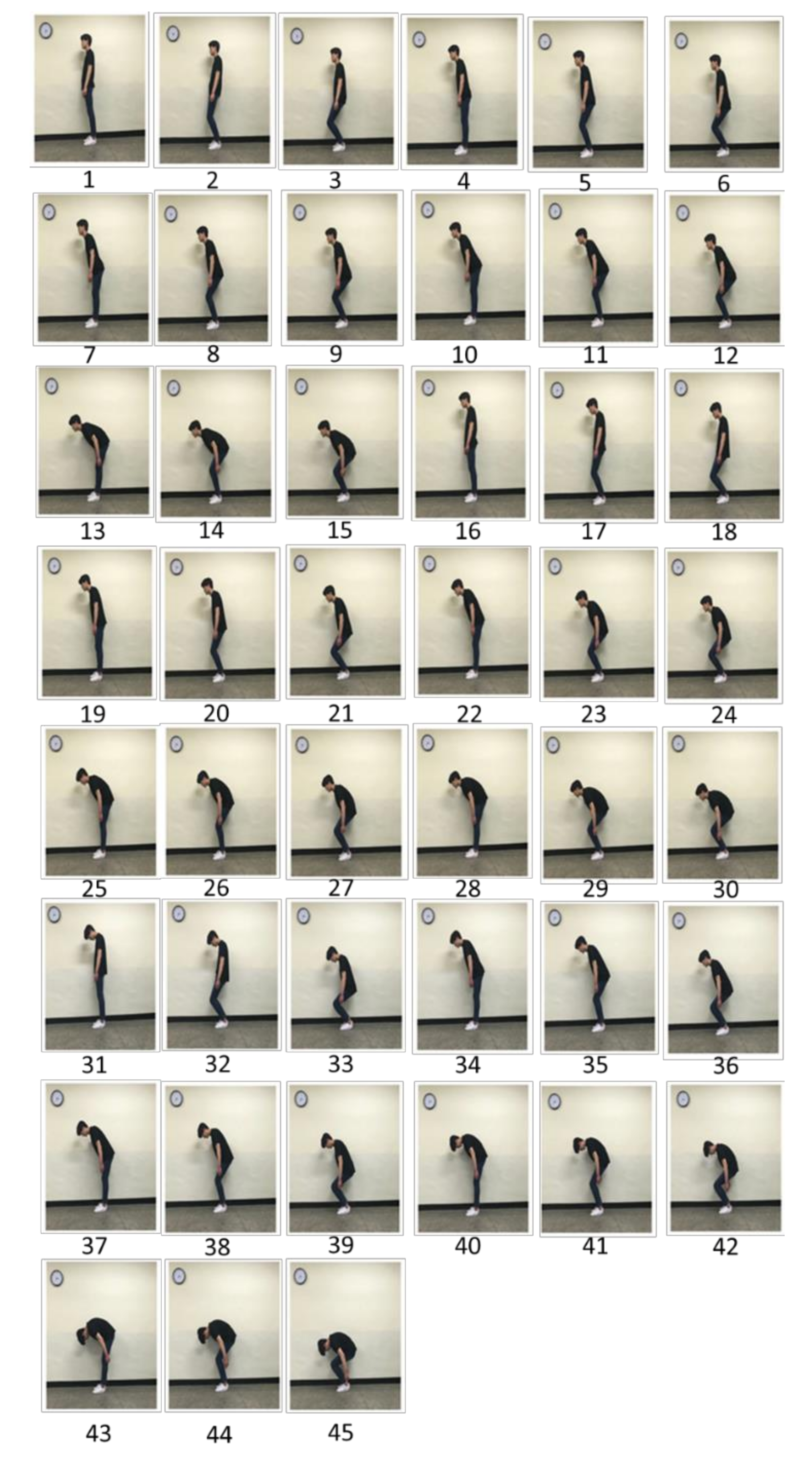 Ijerph 17 08314 g001