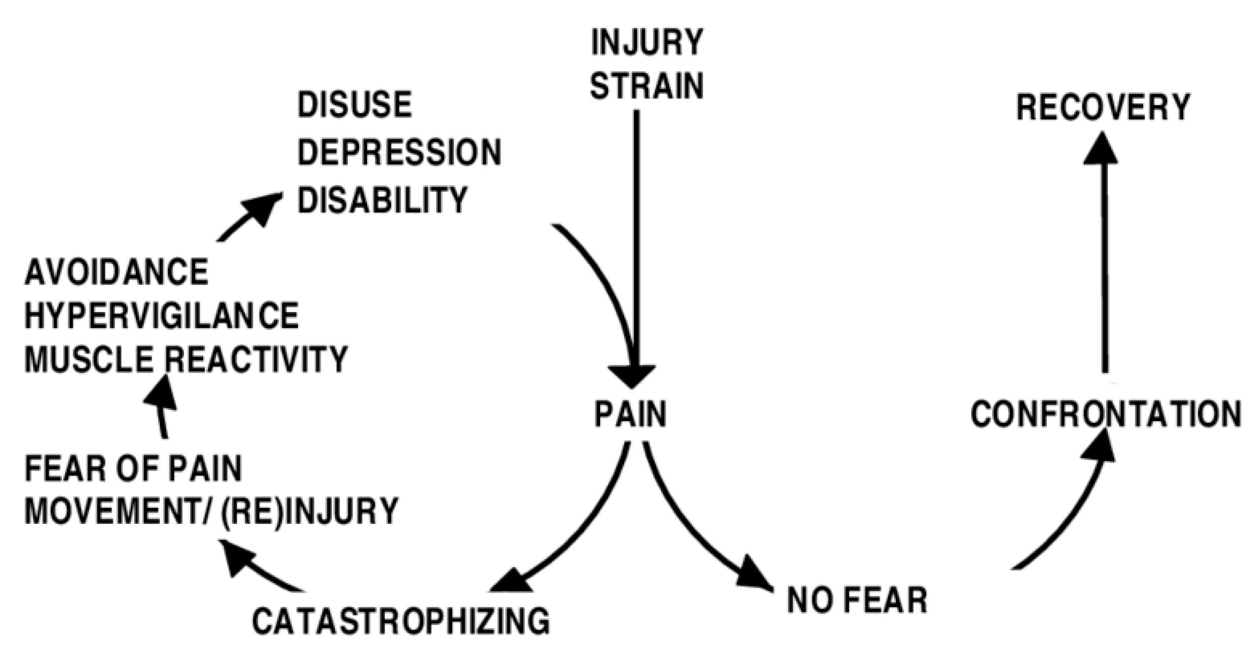 IJERPH | Free Full-Text | Perfectionism and Pain Intensity in Women ...