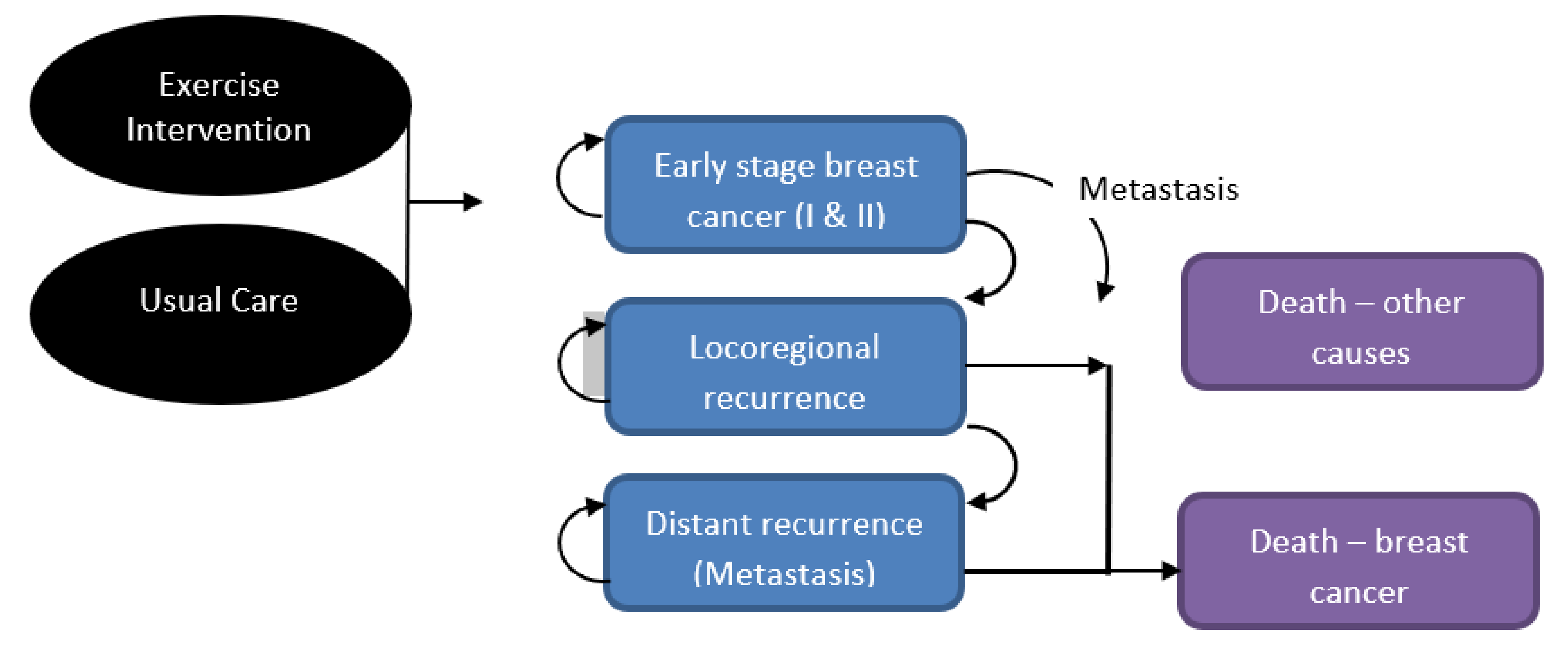 Breast cancer  Cancer Australia