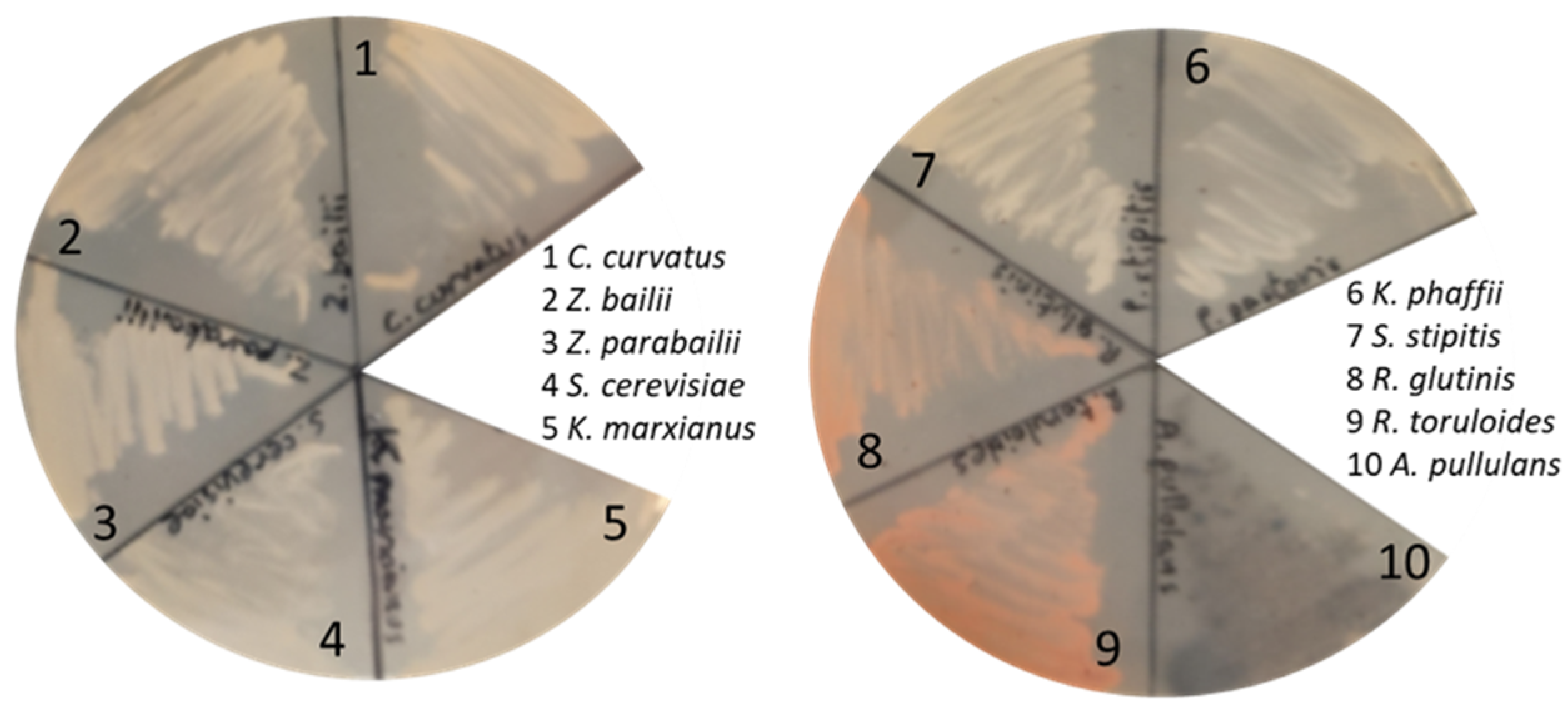Ijerph 18 01146 g003 Ijerph 18 01146 g003