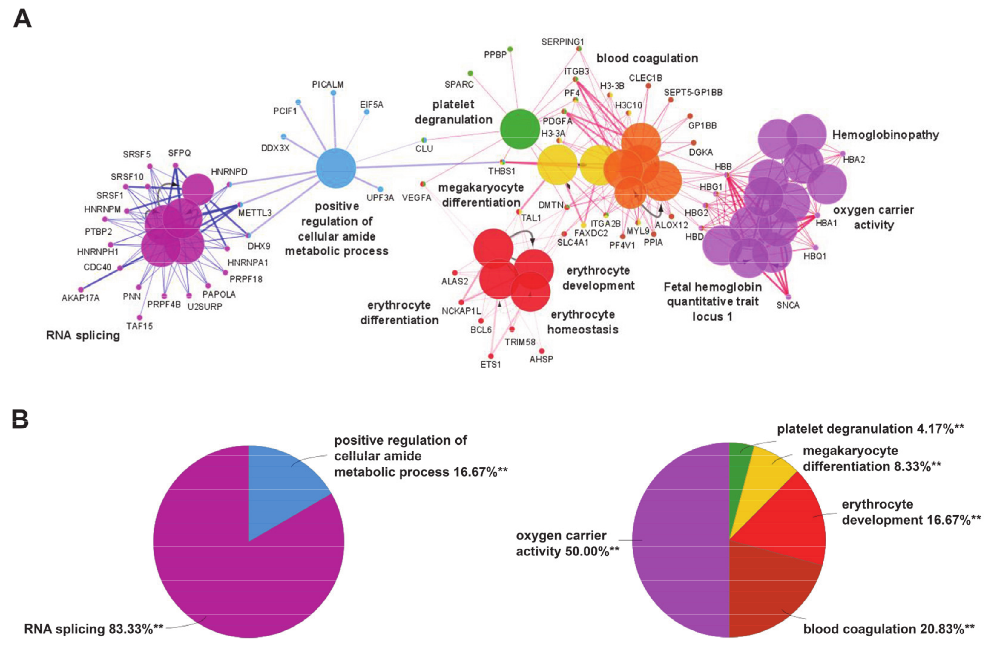 Ijerph 18 01170 g001