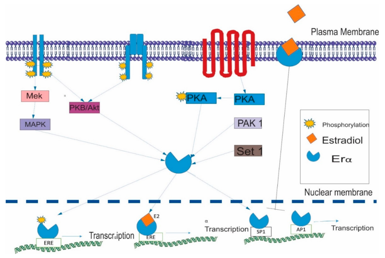 Ijerph 18 01464 g002 Ijerph 18 01464 g002