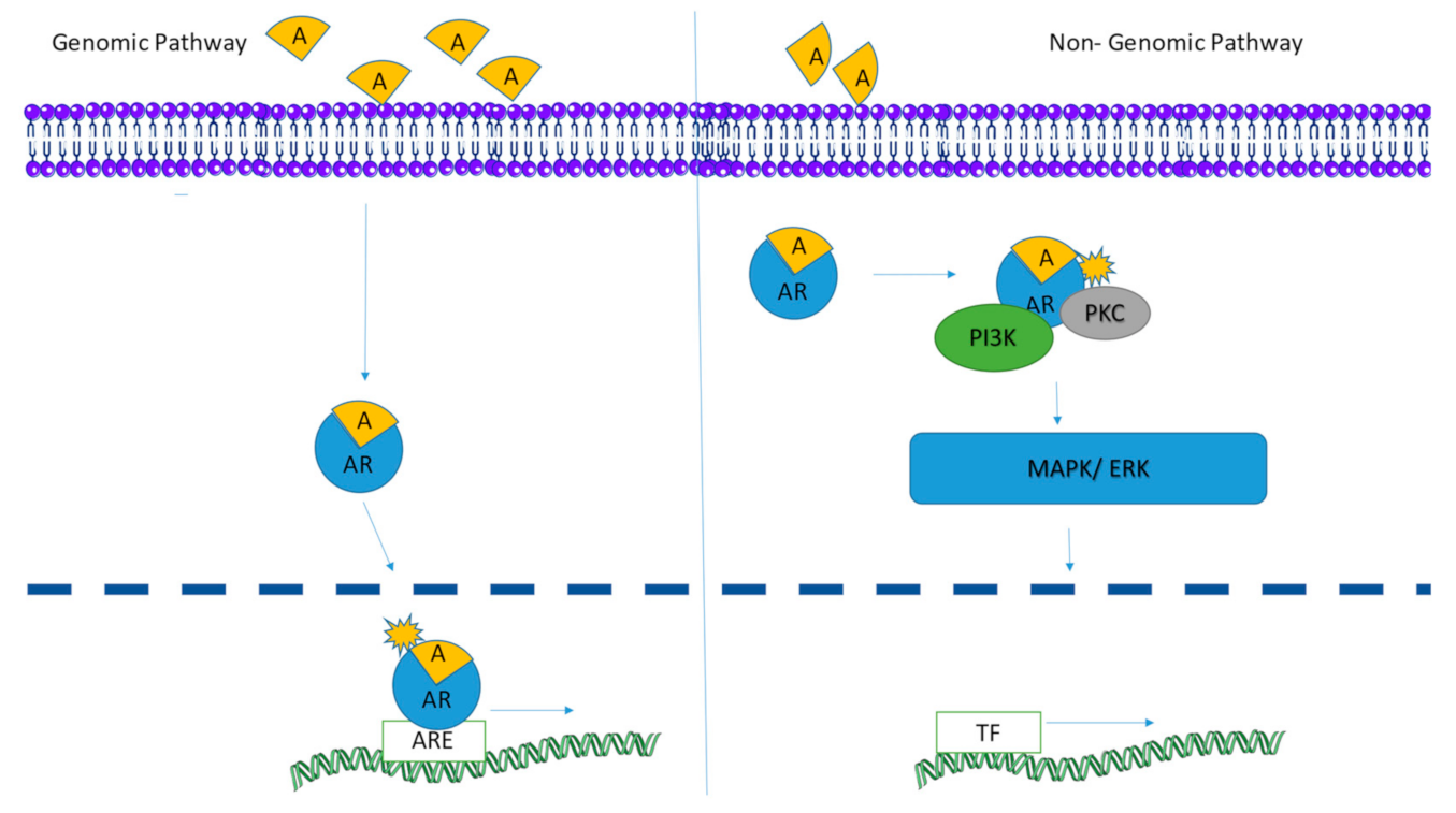 Ijerph 18 01464 g004 Ijerph 18 01464 g004