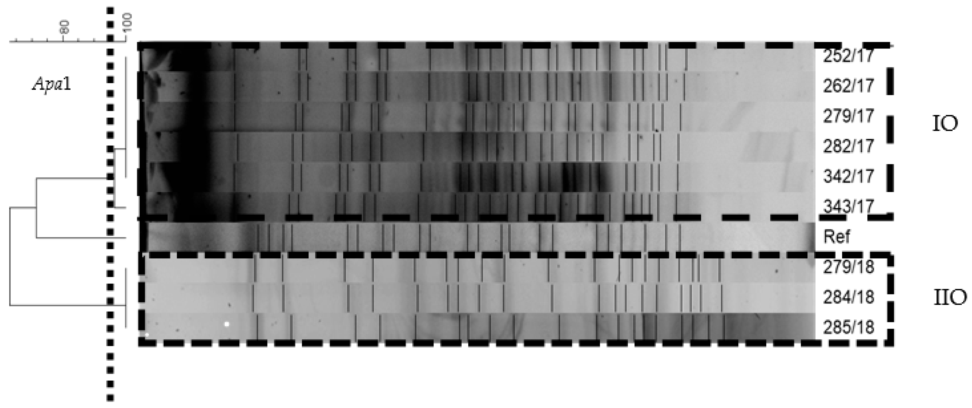 Ijerph 18 01563 g002 Ijerph 18 01563 g002