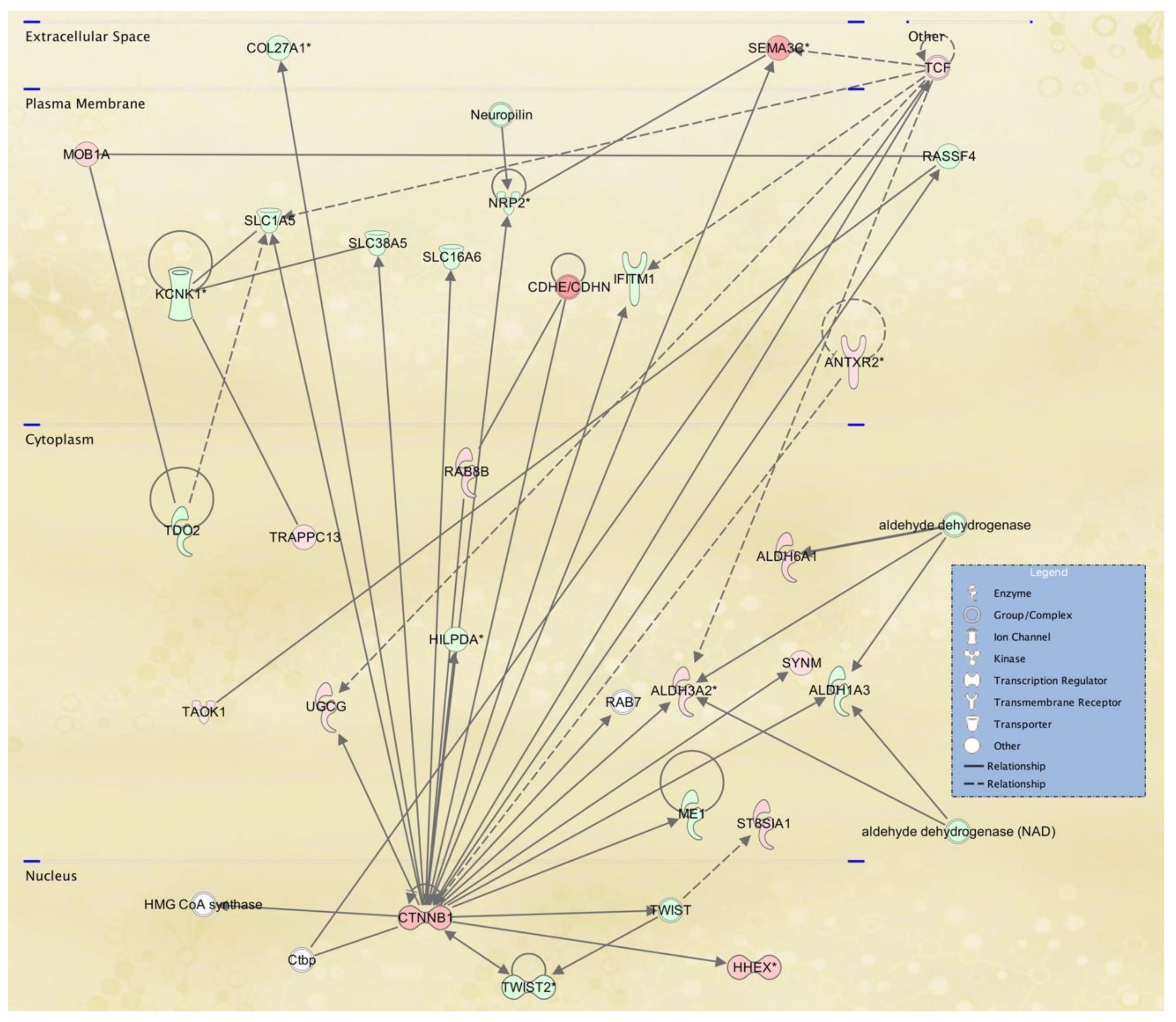 Ijerph 18 01997 g003 Ijerph 18 01997 g003