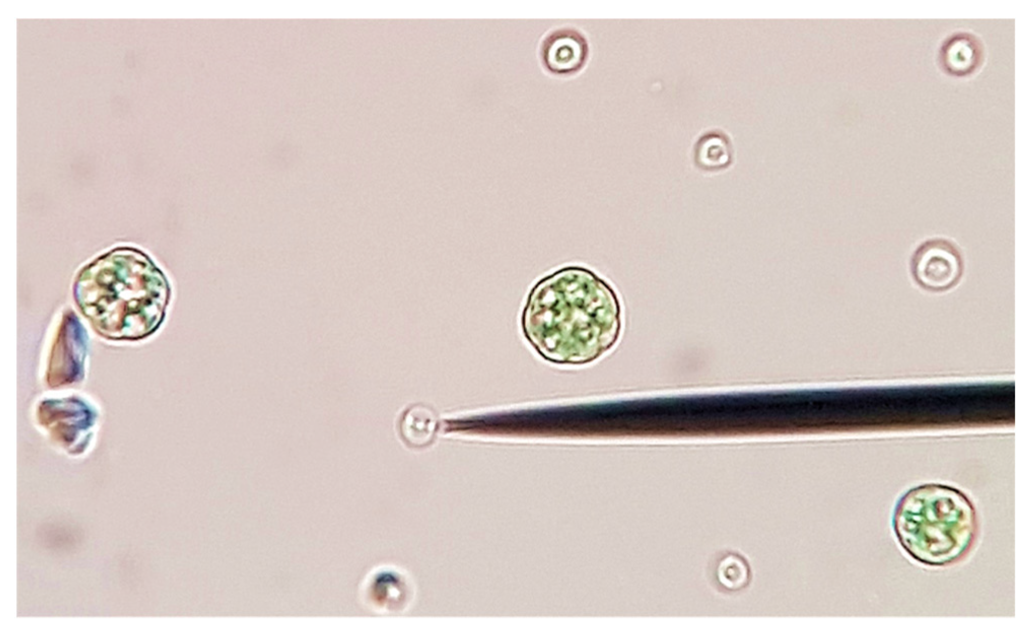 Ijerph 18 02291 g001