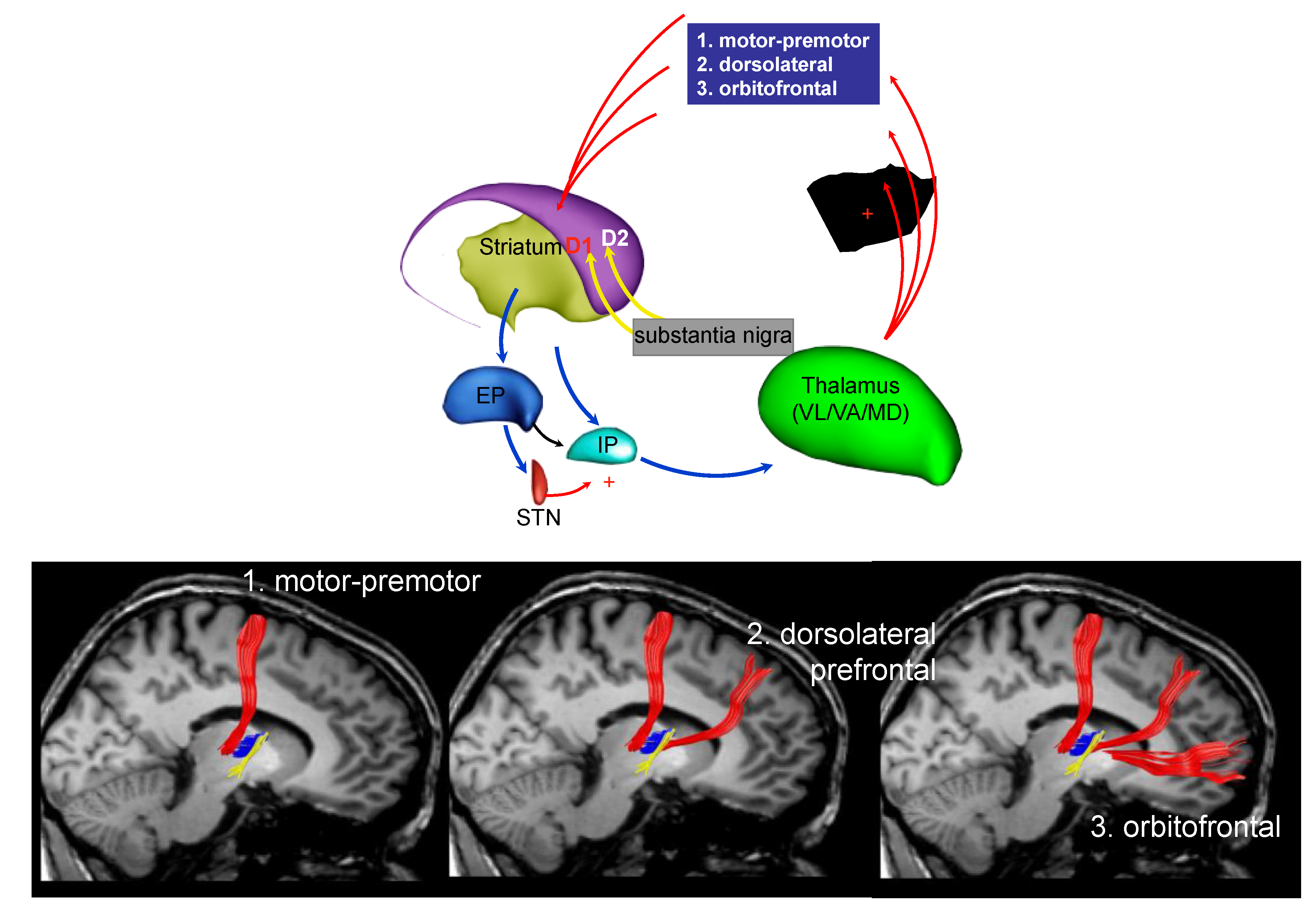 Ijerph 18 02356 g003