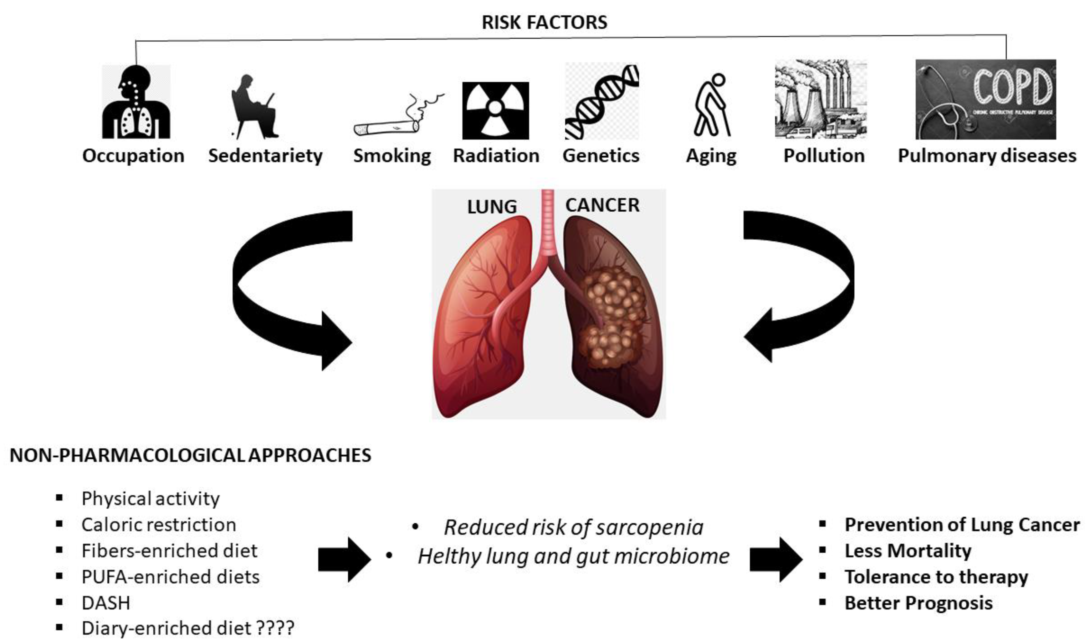 Ijerph Free Full Text Food Nutrition Physical Activity And Microbiota Which Impact On Lung Cancer Html