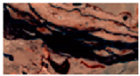 Ijerph 18 02682 i004 Ijerph 18 02682 i004