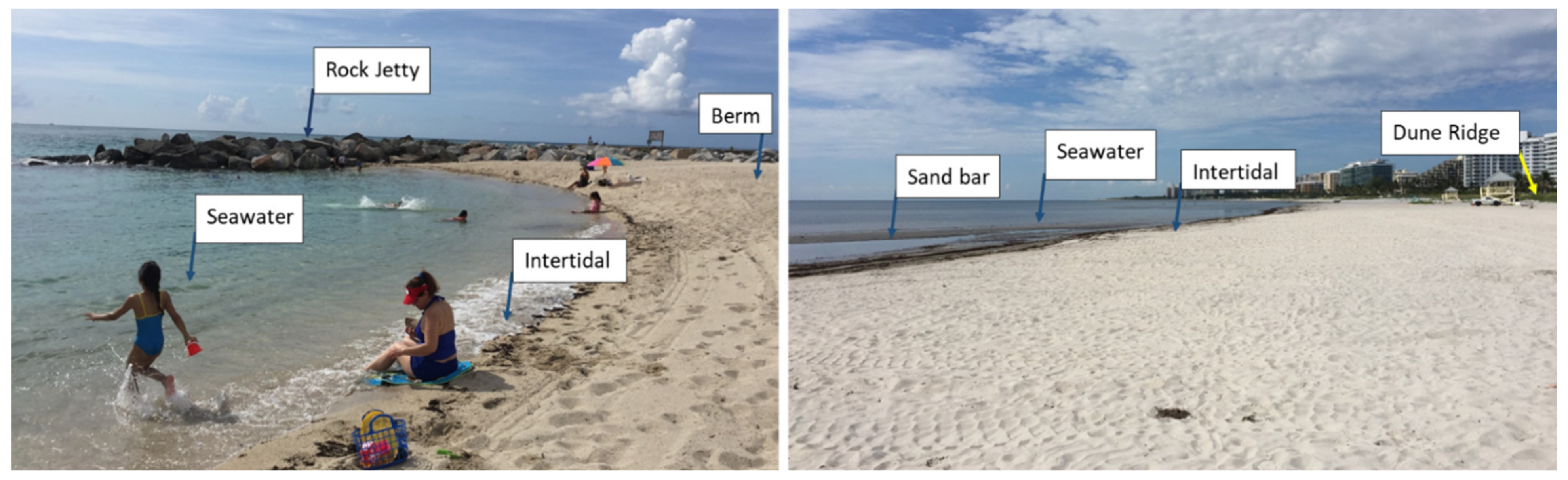 Haulover Beach Sex Group - IJERPH | Free Full-Text | Quantified Activity Patterns for Young Children  in Beach Environments Relevant for Exposure to Contaminants | HTML