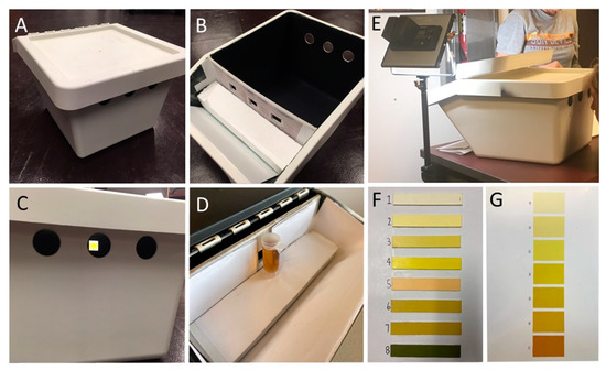 https://www.mdpi.com/ijerph/ijerph-18-04126/article_deploy/html/images/ijerph-18-04126-g001-550.jpg