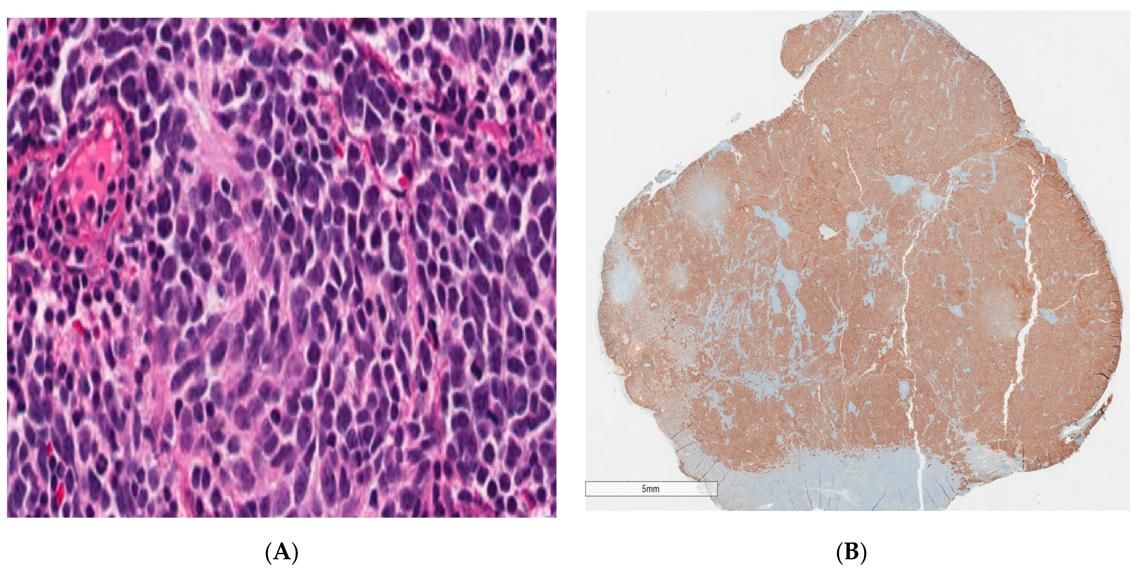 Ijerph 18 04157 g002 Ijerph 18 04157 g002
