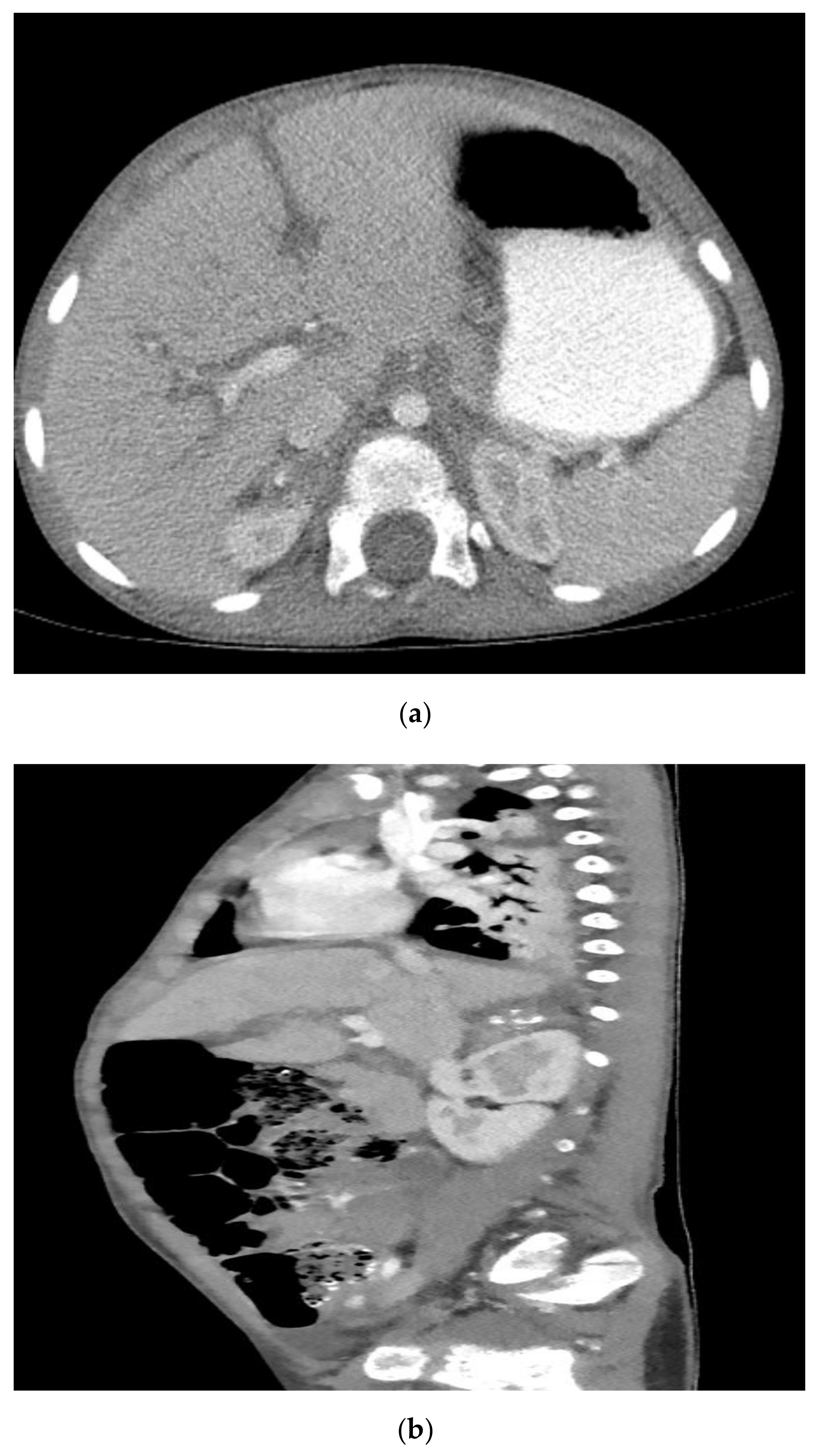 Ijerph 18 04157 g003 Ijerph 18 04157 g003